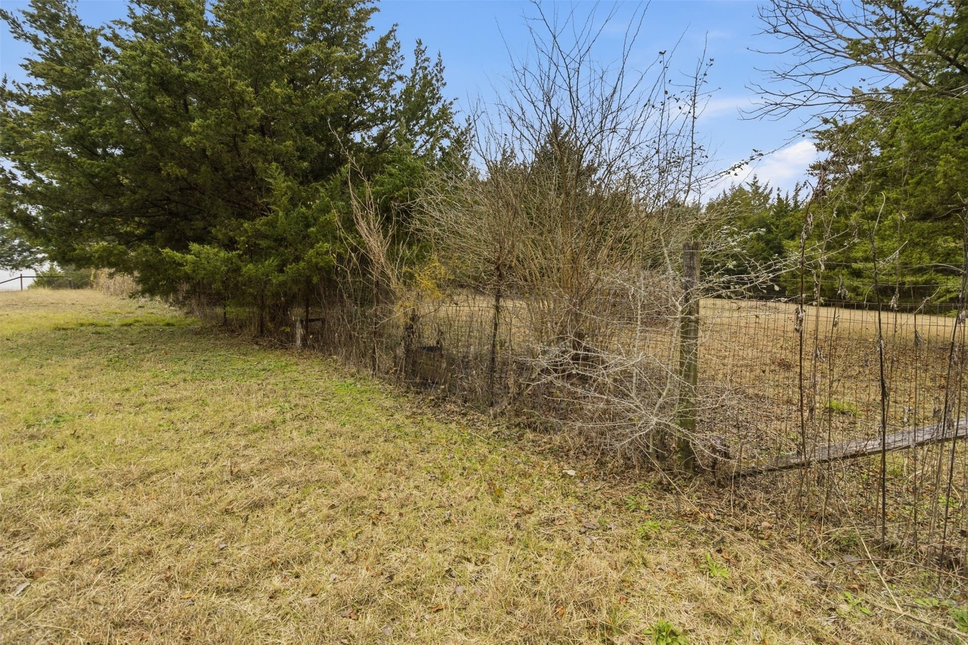 5.16 acres in Collin County - photo 4