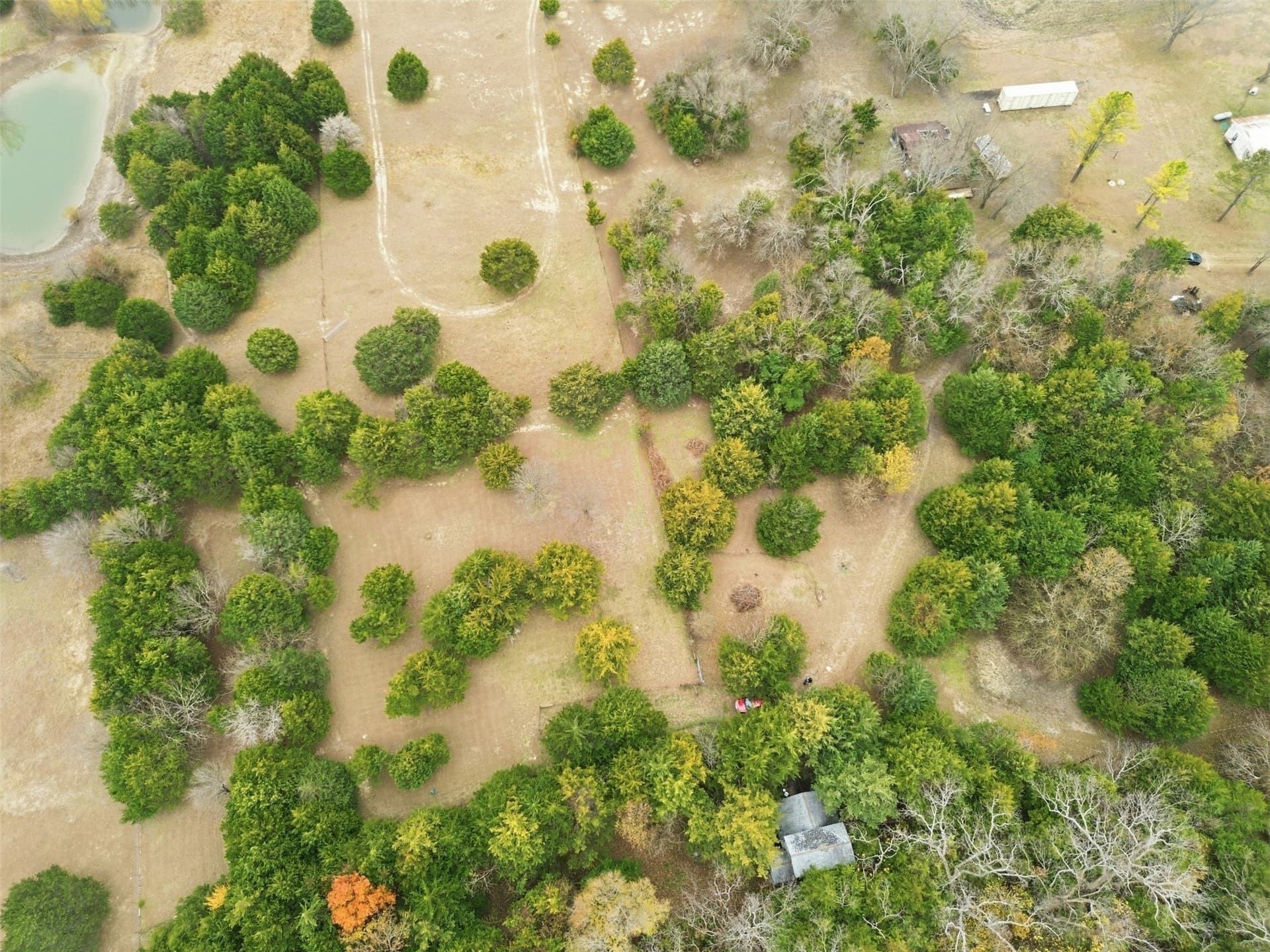 5.16 acres in Collin County - photo 13