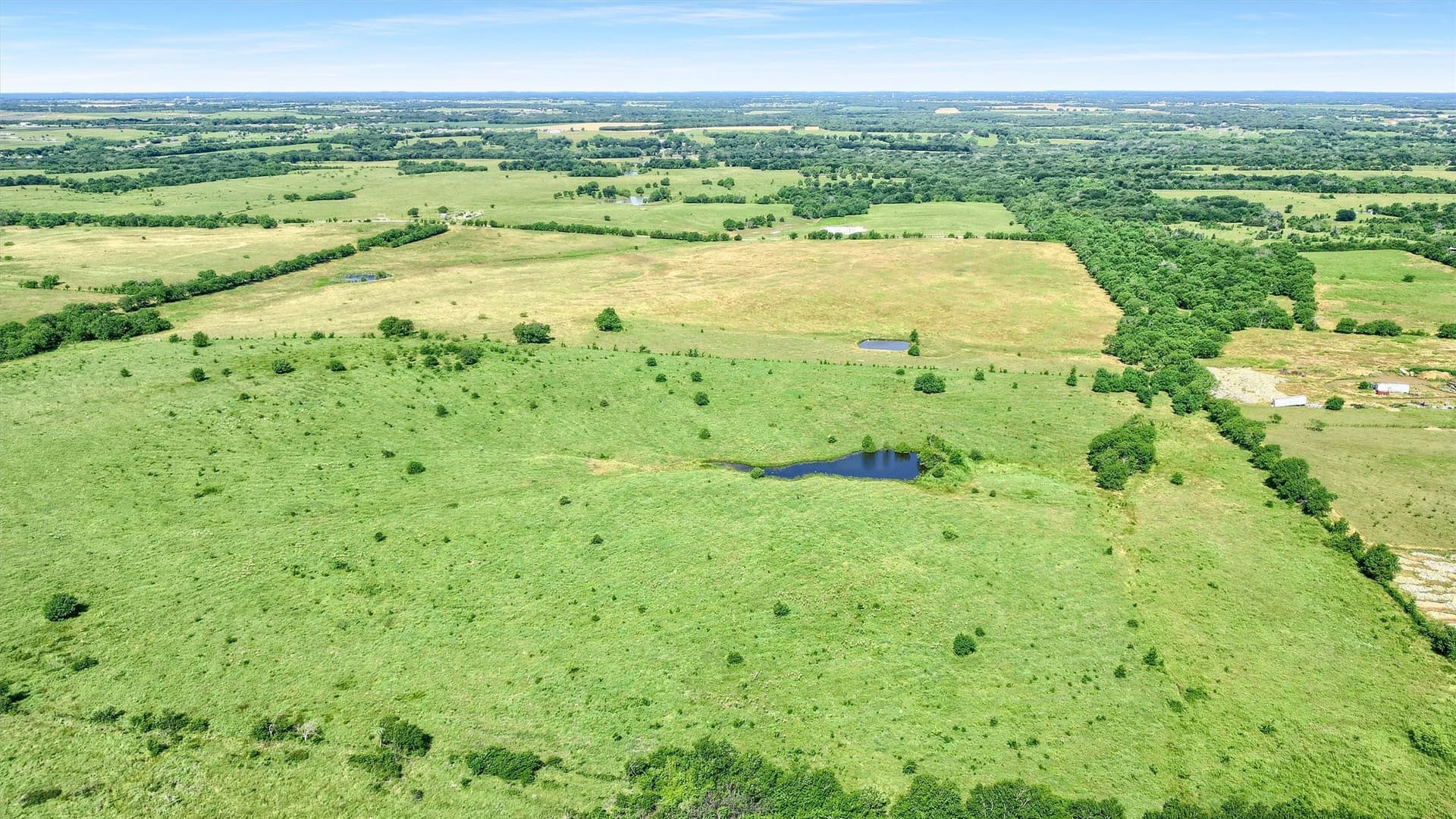 105 acres in Grayson County gallery image 4