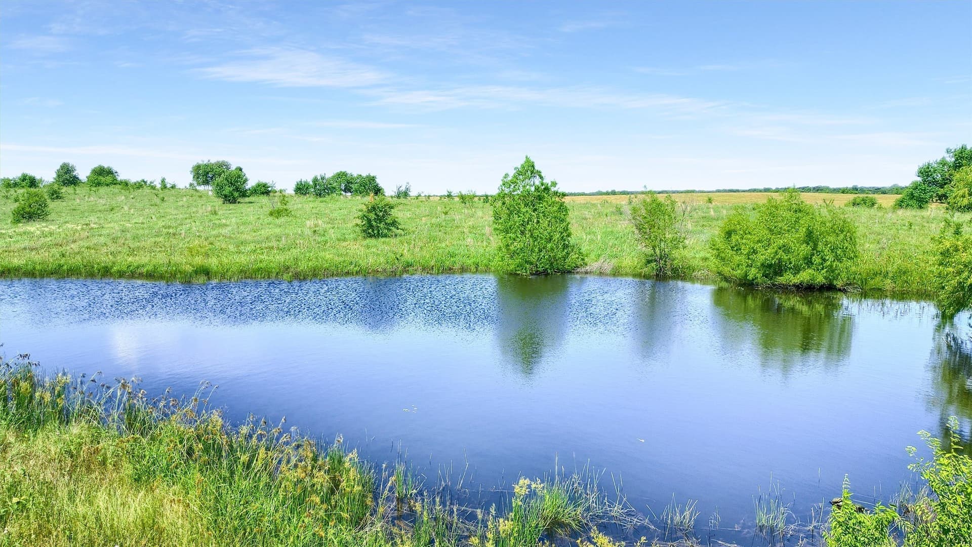 105 acres in Grayson County gallery image 2