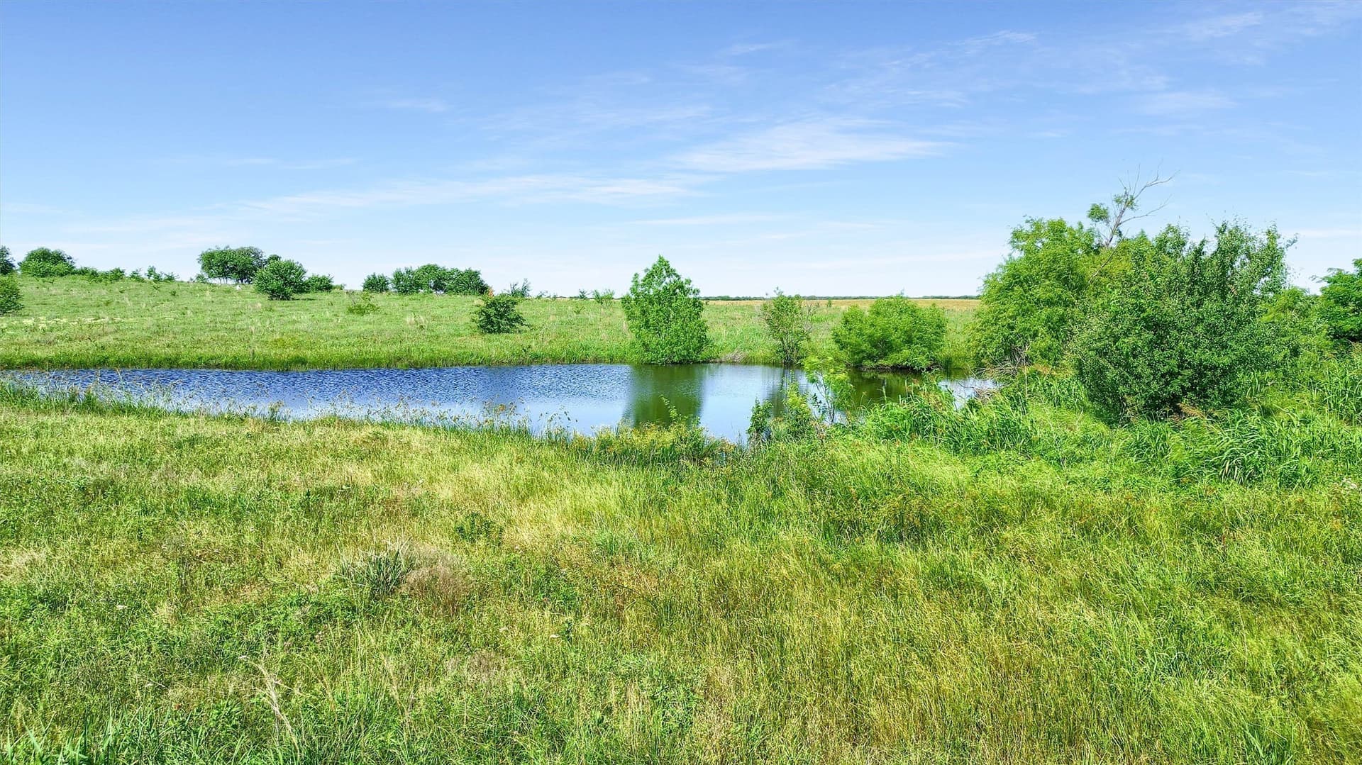 105 acres in Grayson County gallery image 3