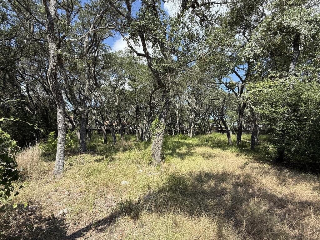 0.37 acres in Texas County - photo 4