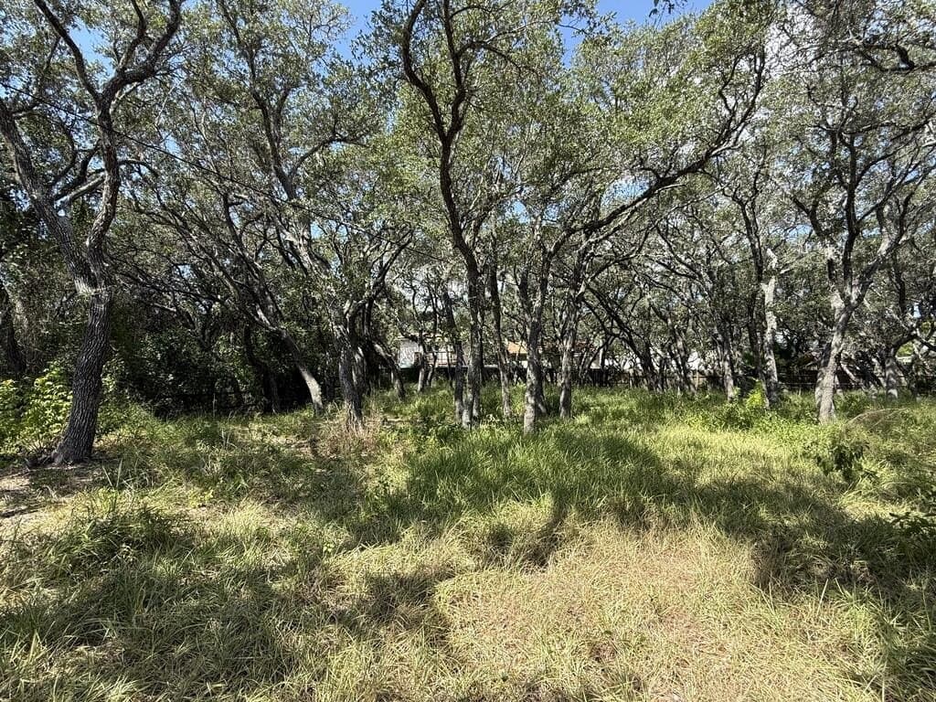 0.37 acres in Texas County - photo 3