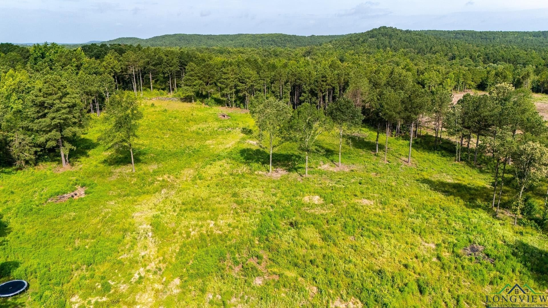 11.56 acres in Upshur County gallery image 3