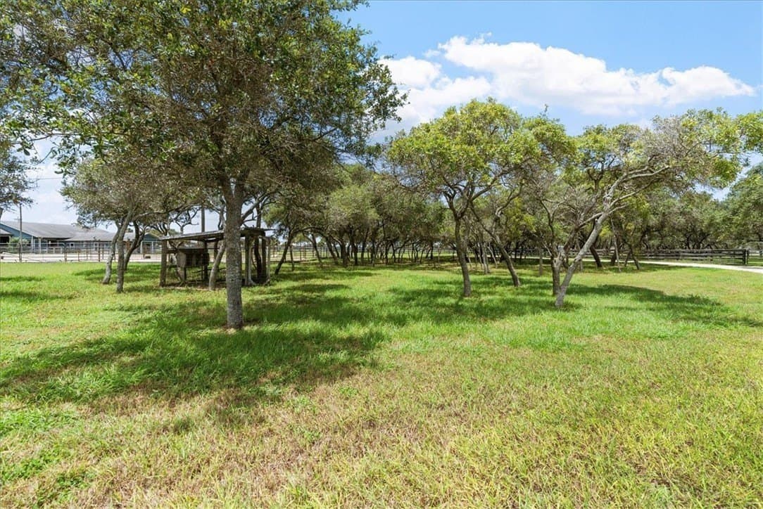 11.45 acres in Nueces County - photo 38