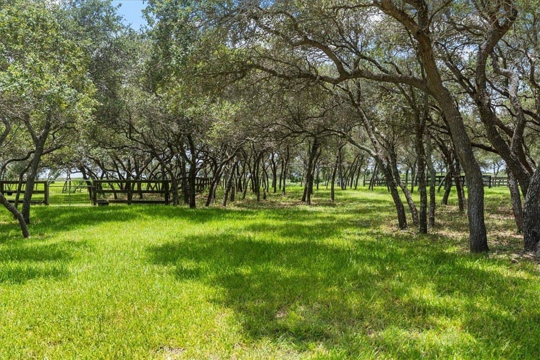11.45 acres in Nueces County - photo 39