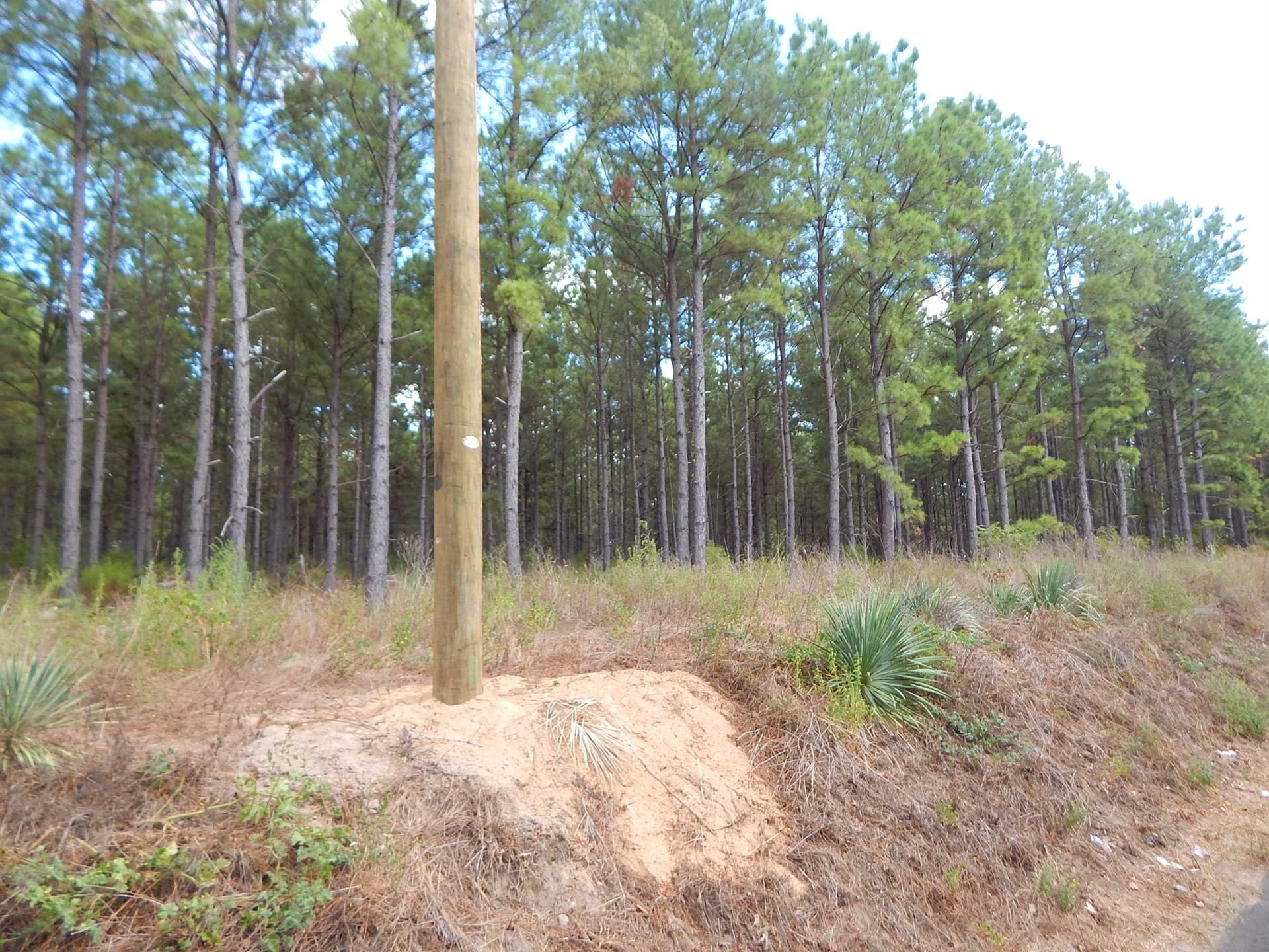 10 acres in Upshur County - photo 7