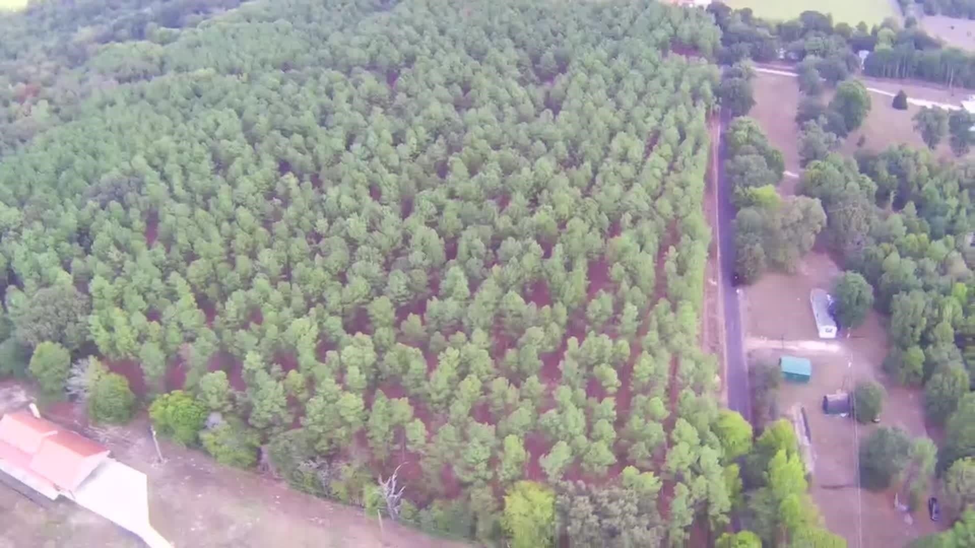 10 acres in Upshur County - photo 3