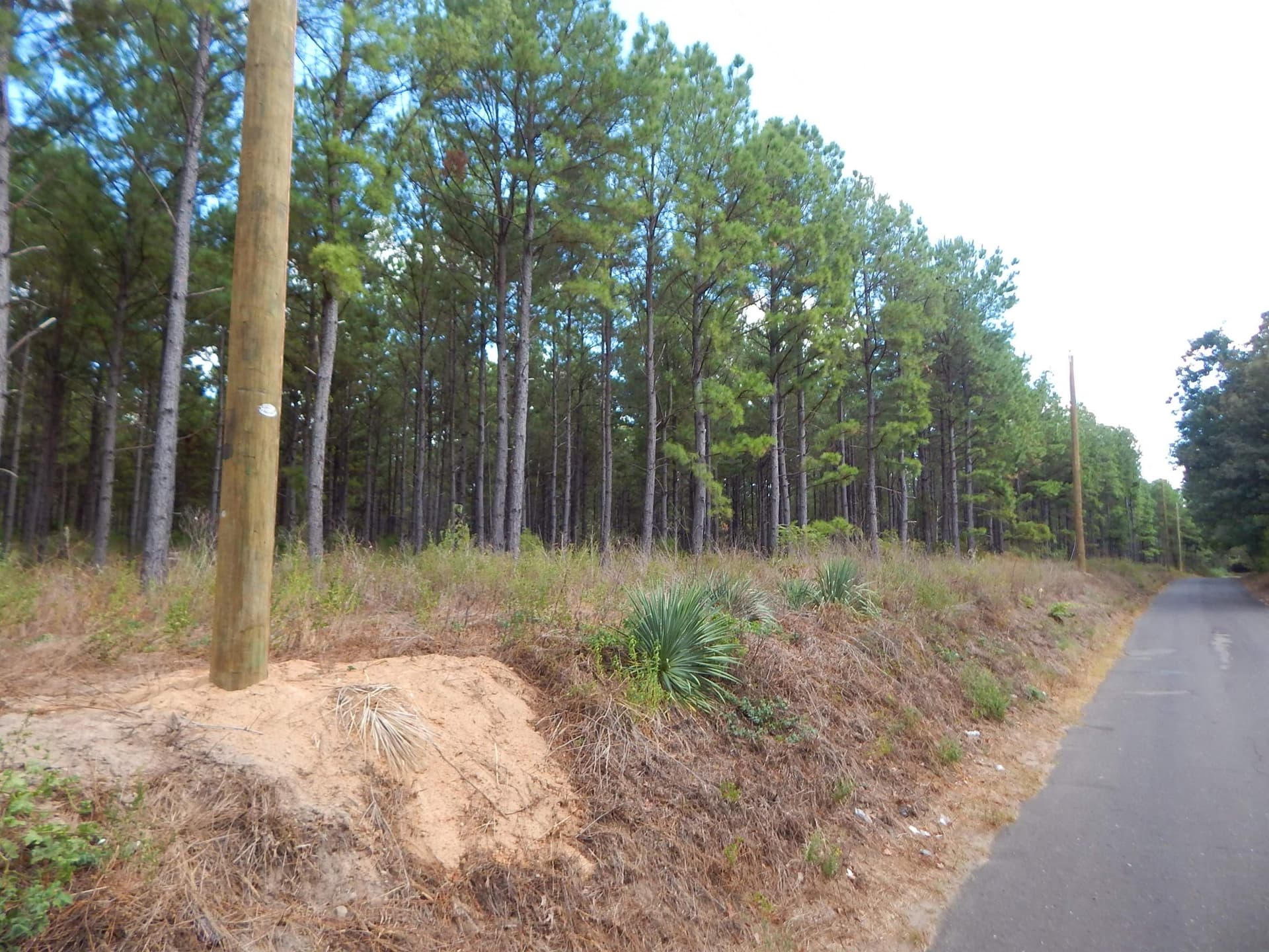 10 acres in Upshur County