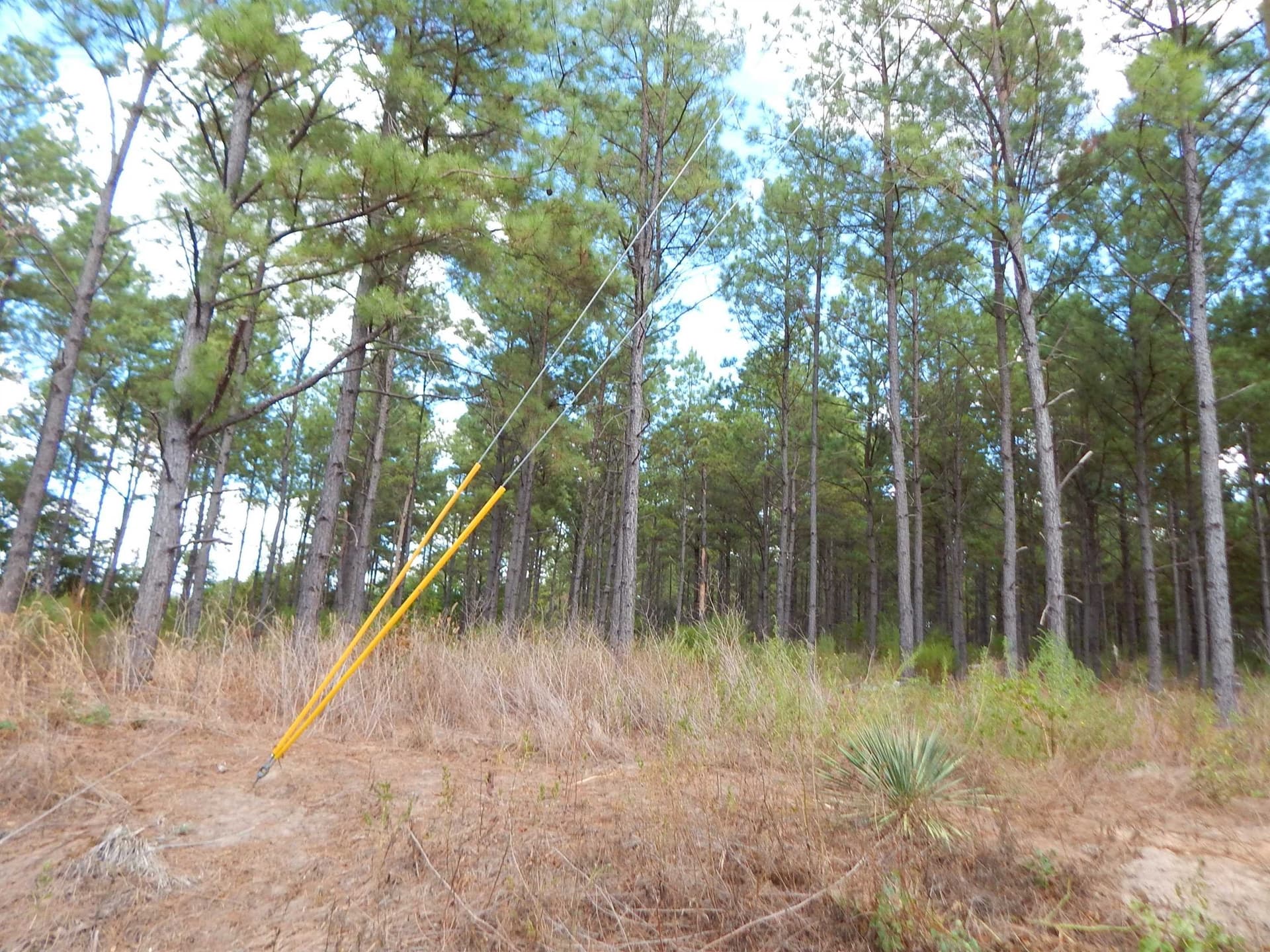 10 acres in Upshur County - photo 6