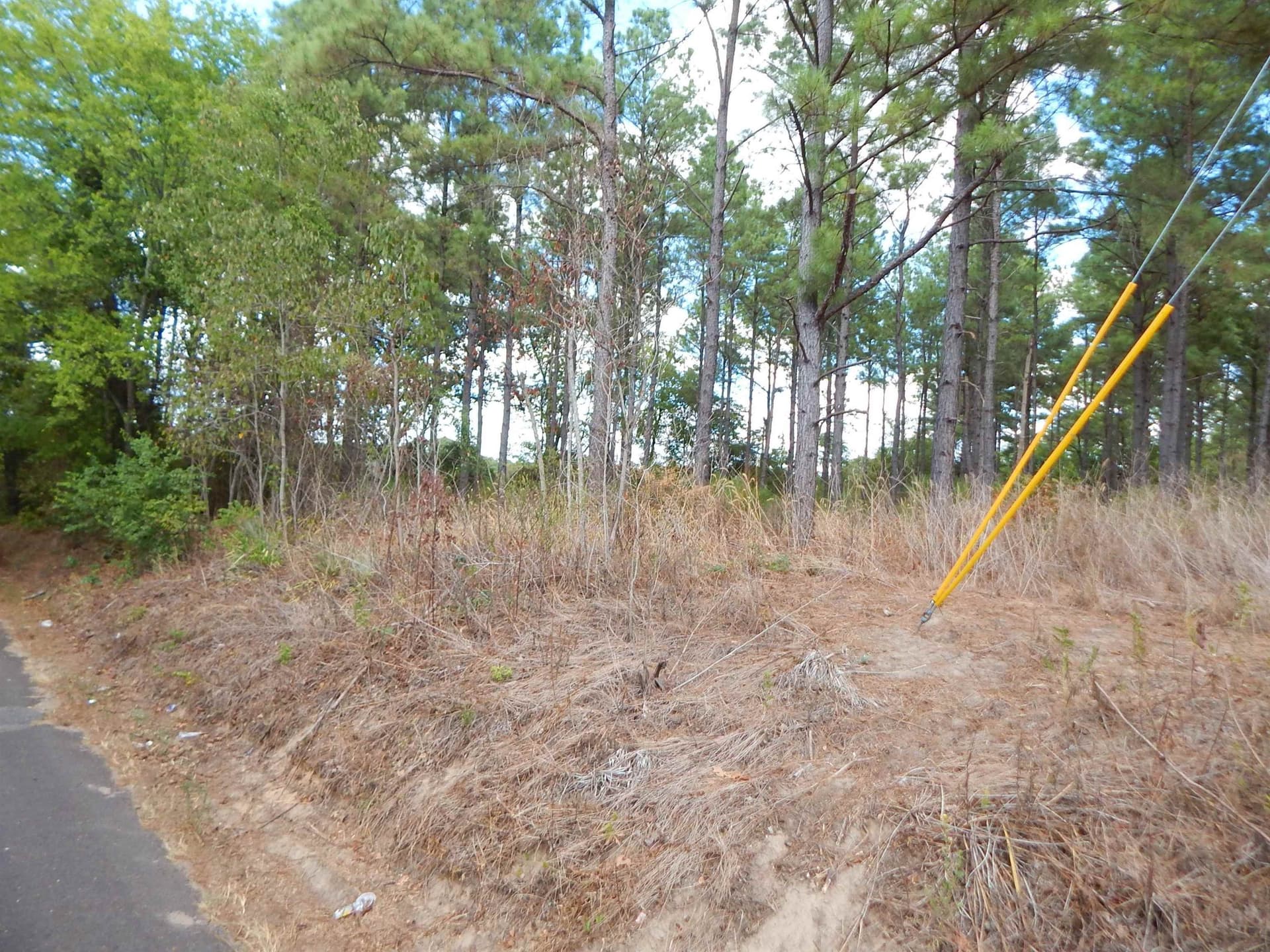 10 acres in Upshur County - photo 8