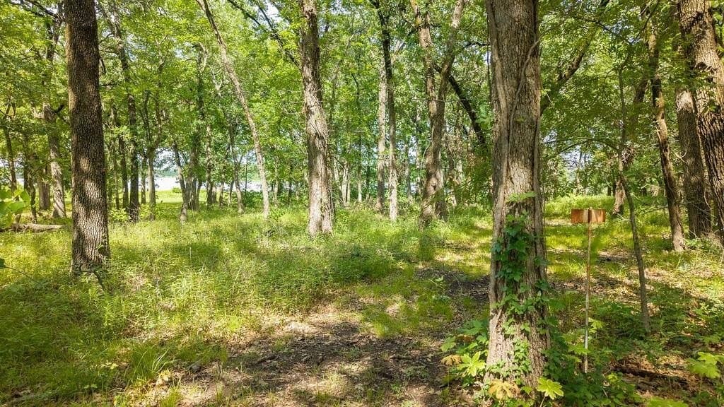 1.24 acres in Fannin County gallery image 3