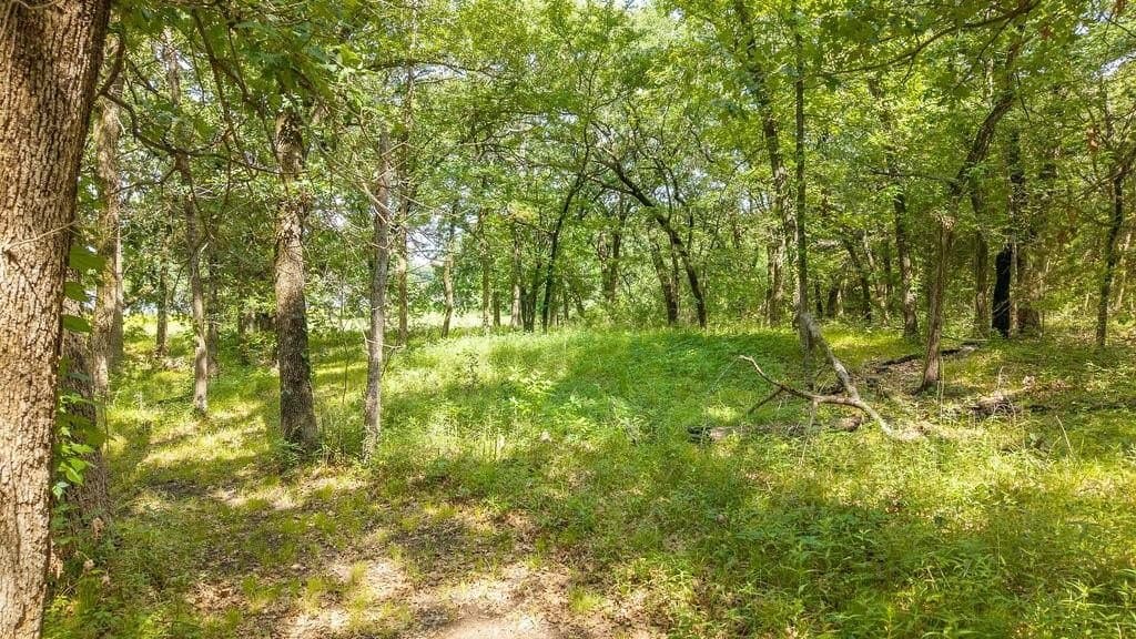 1.24 acres in Fannin County gallery image 4