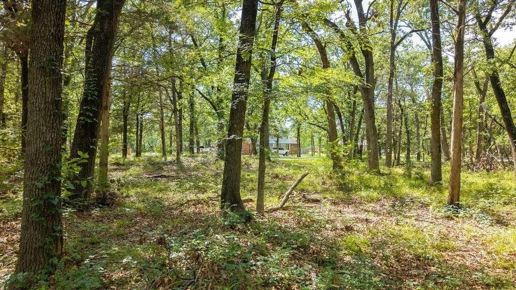 1.24 acres in Fannin County gallery image 2
