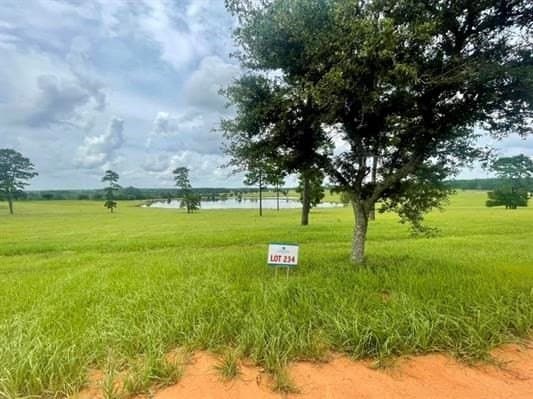 1.58 acres in Texas County gallery image 4