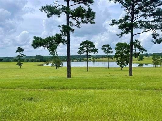 1.58 acres in Texas County - photo 7