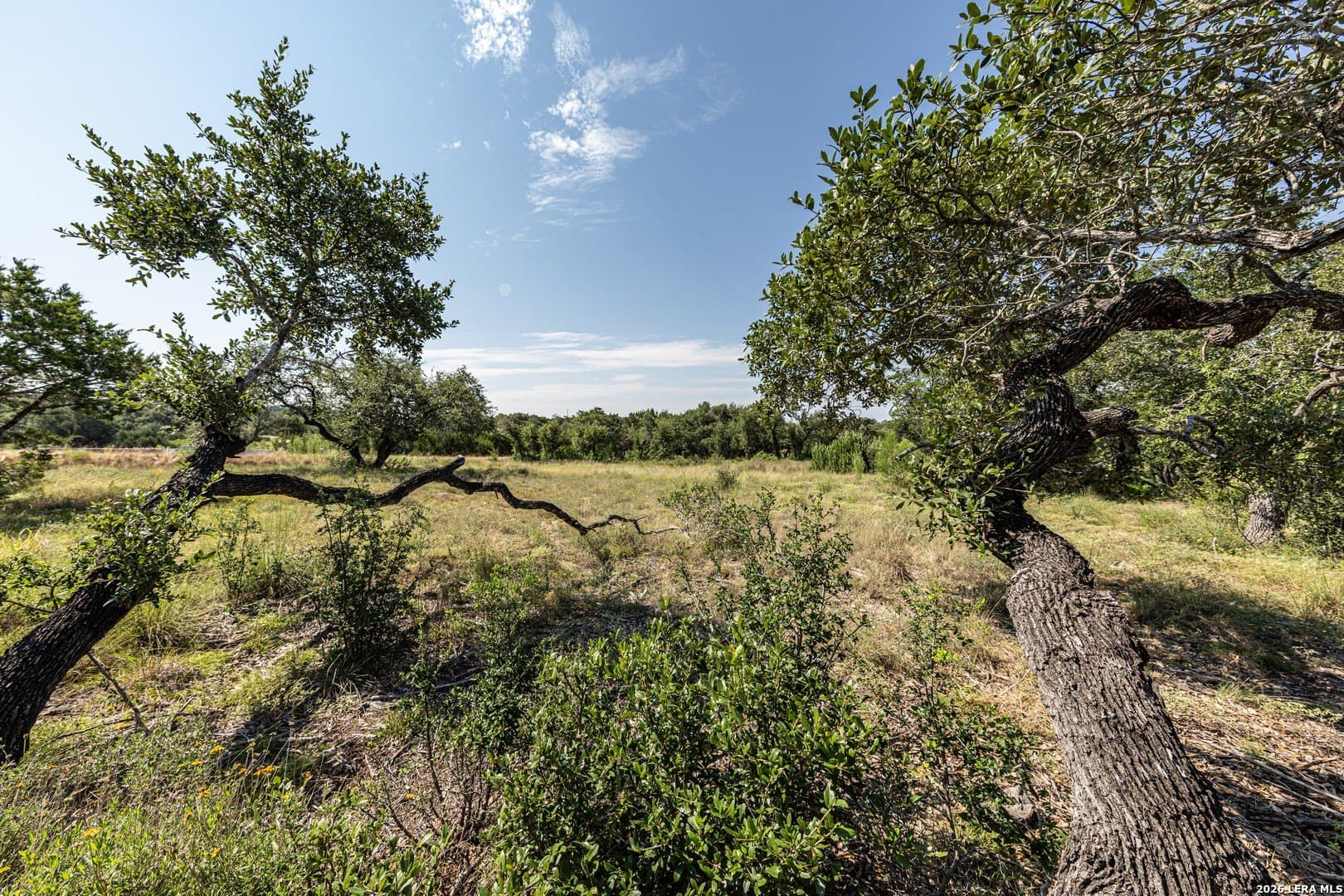 1.34 acres in Comal County - photo 12