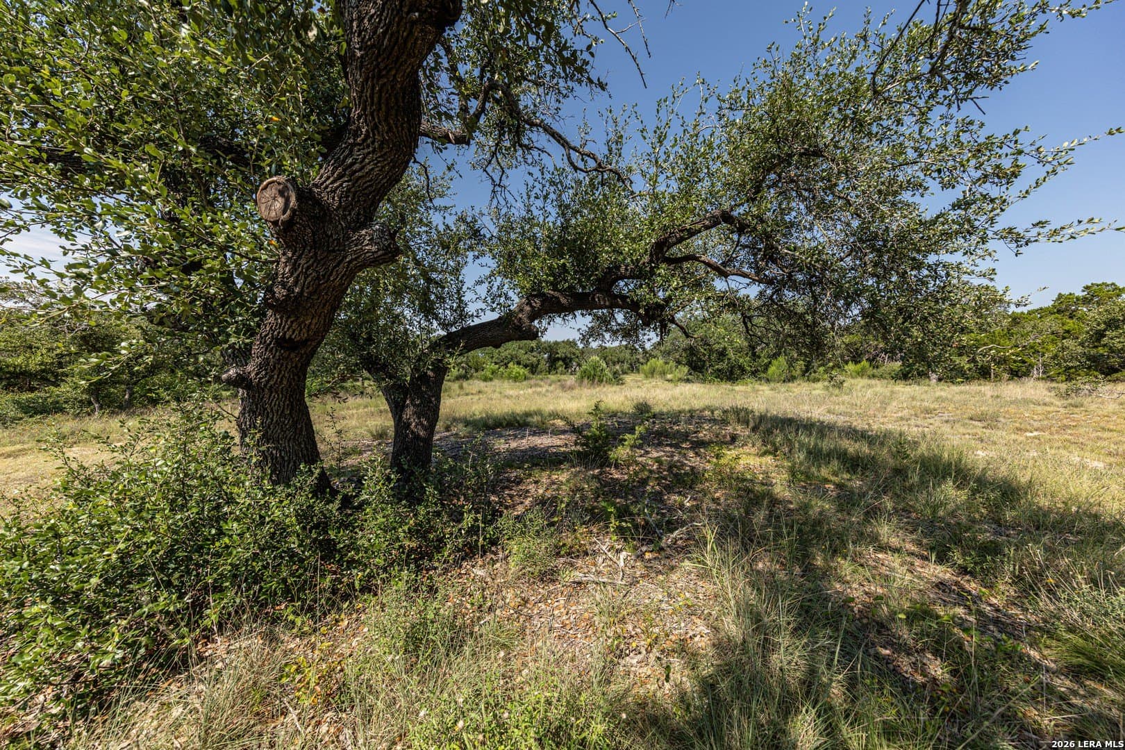 1.34 acres in Comal County - photo 11