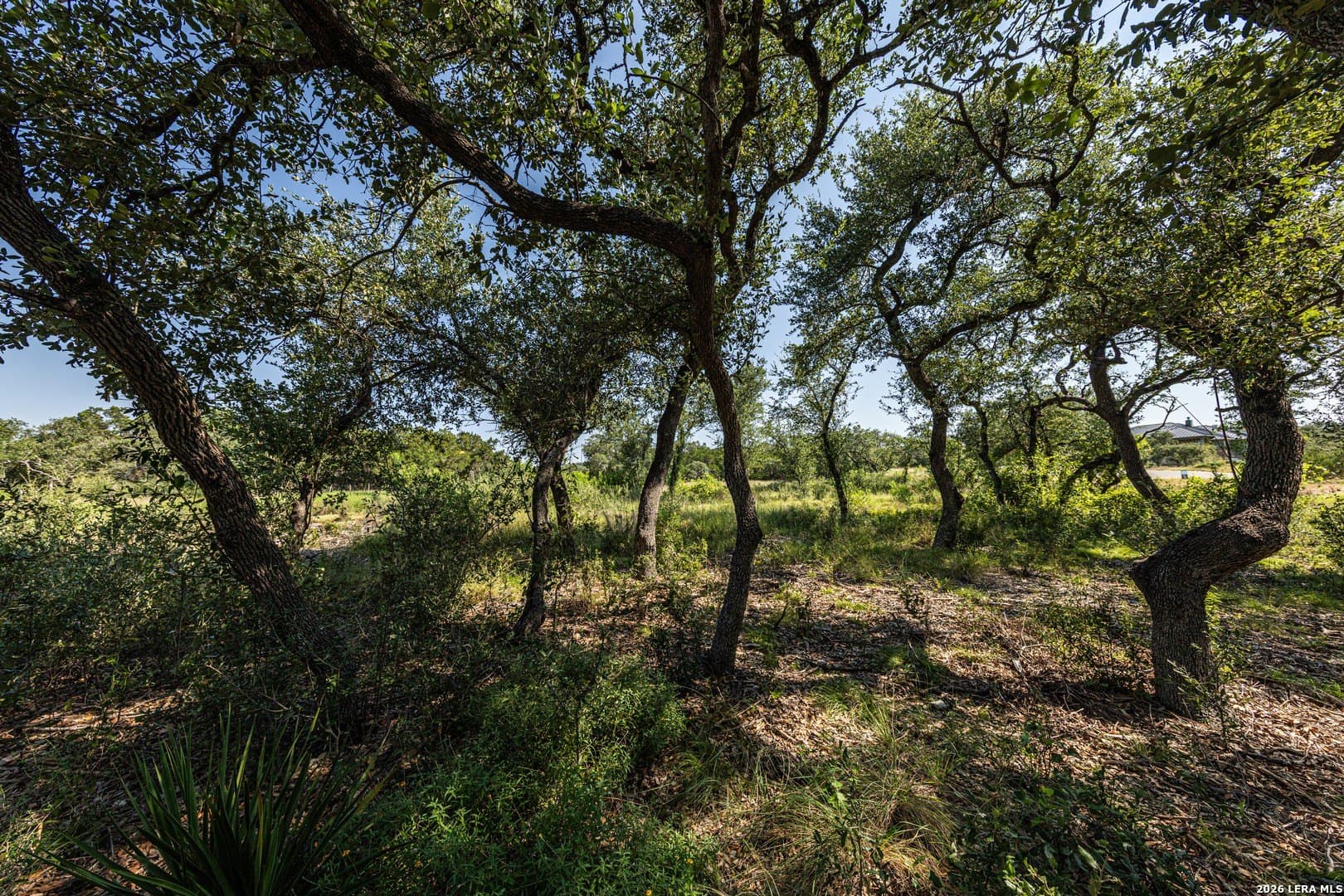 1.34 acres in Comal County - photo 14