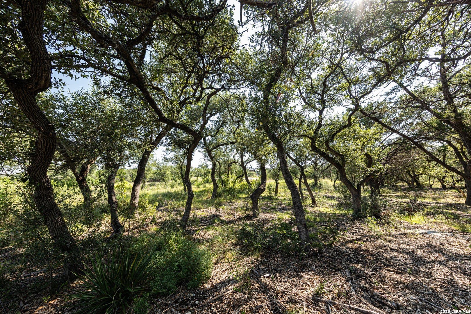 1.34 acres in Comal County - photo 15