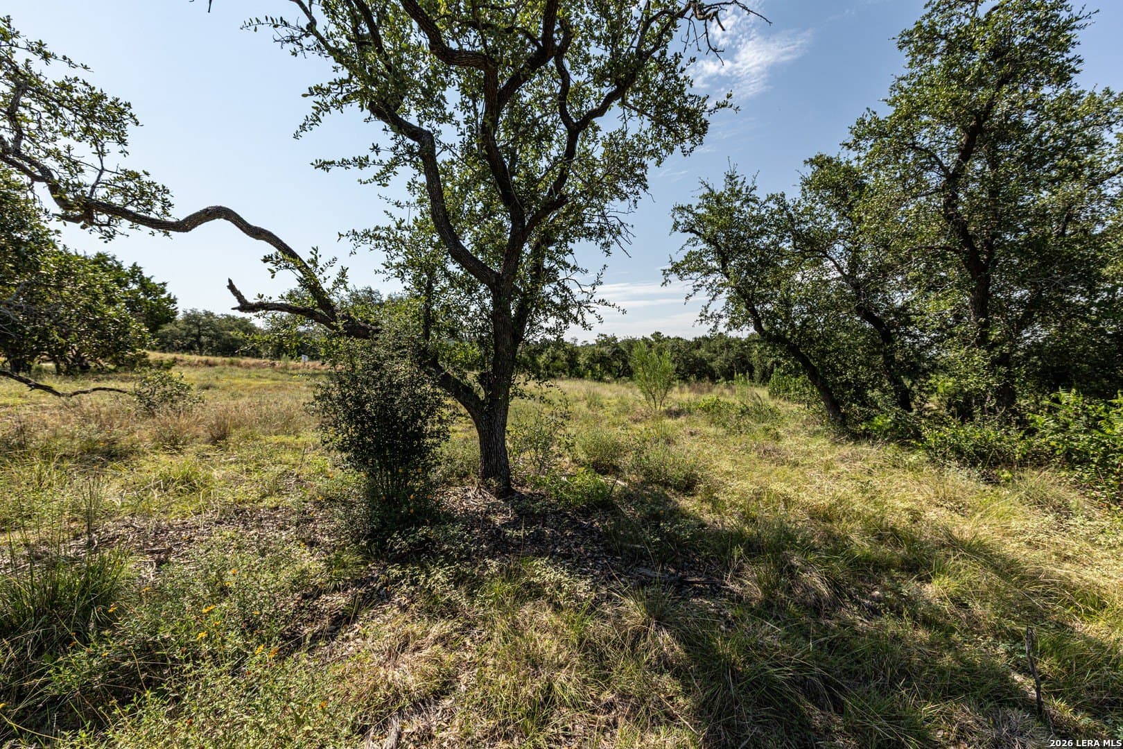 1.34 acres in Comal County - photo 13