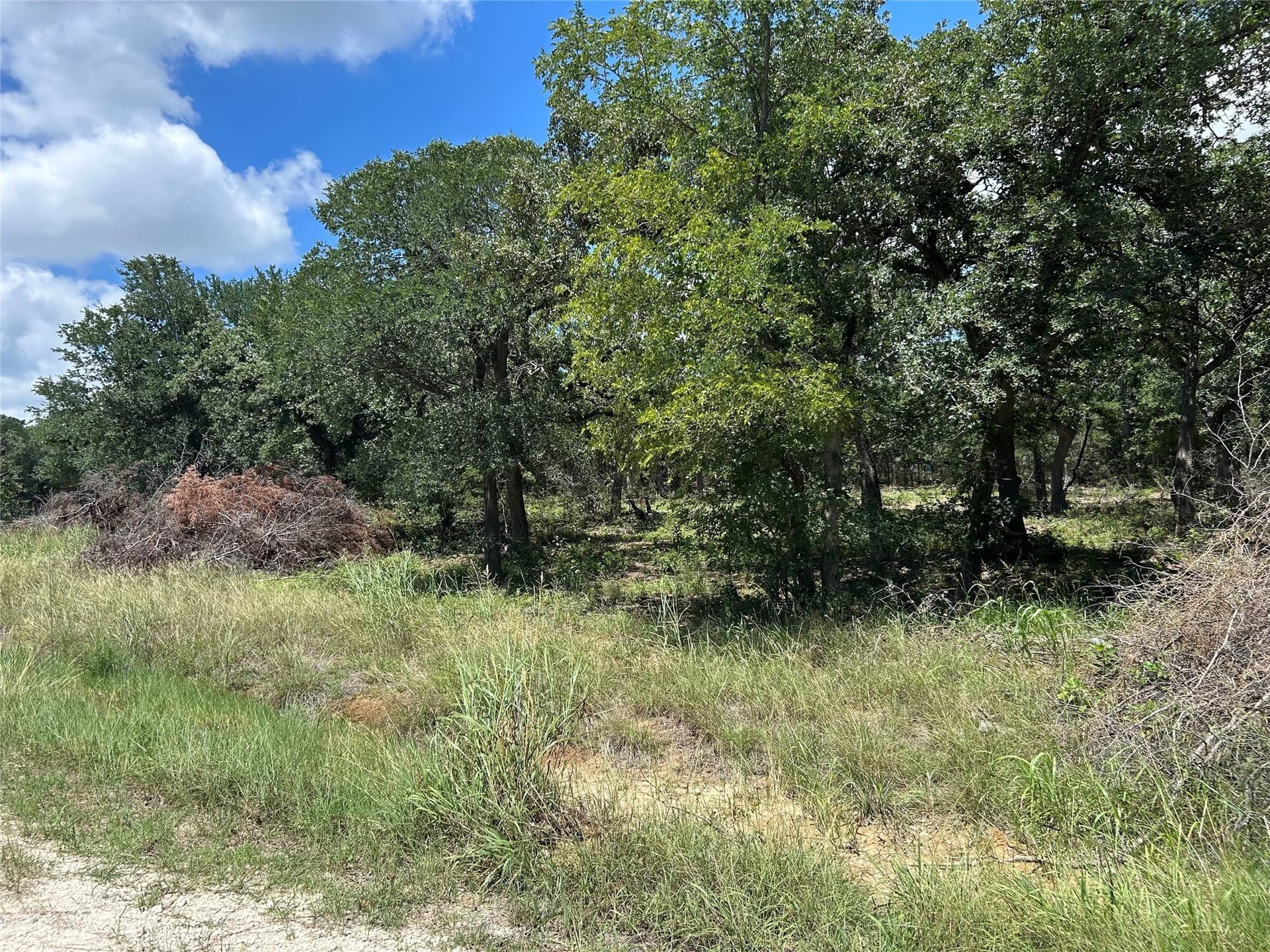 1.52 acres in Hill County - photo 5
