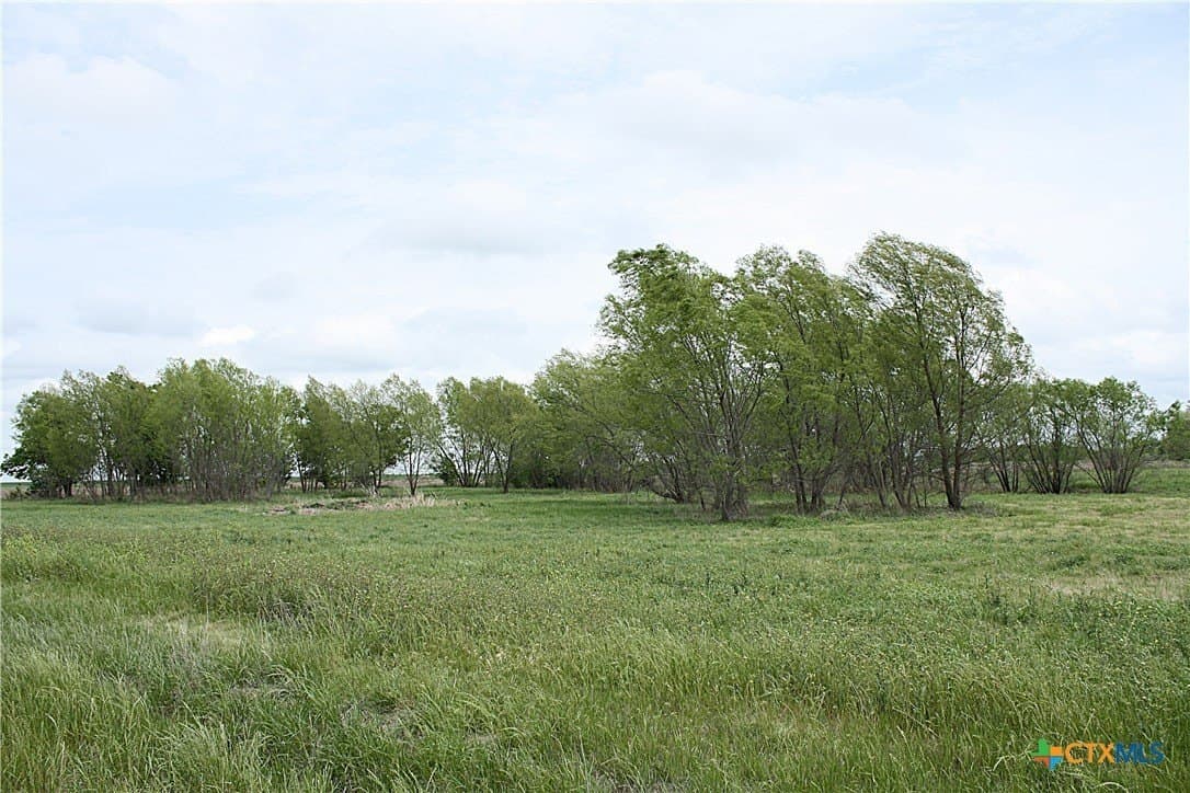 73.17 acres in Bell County - photo 14