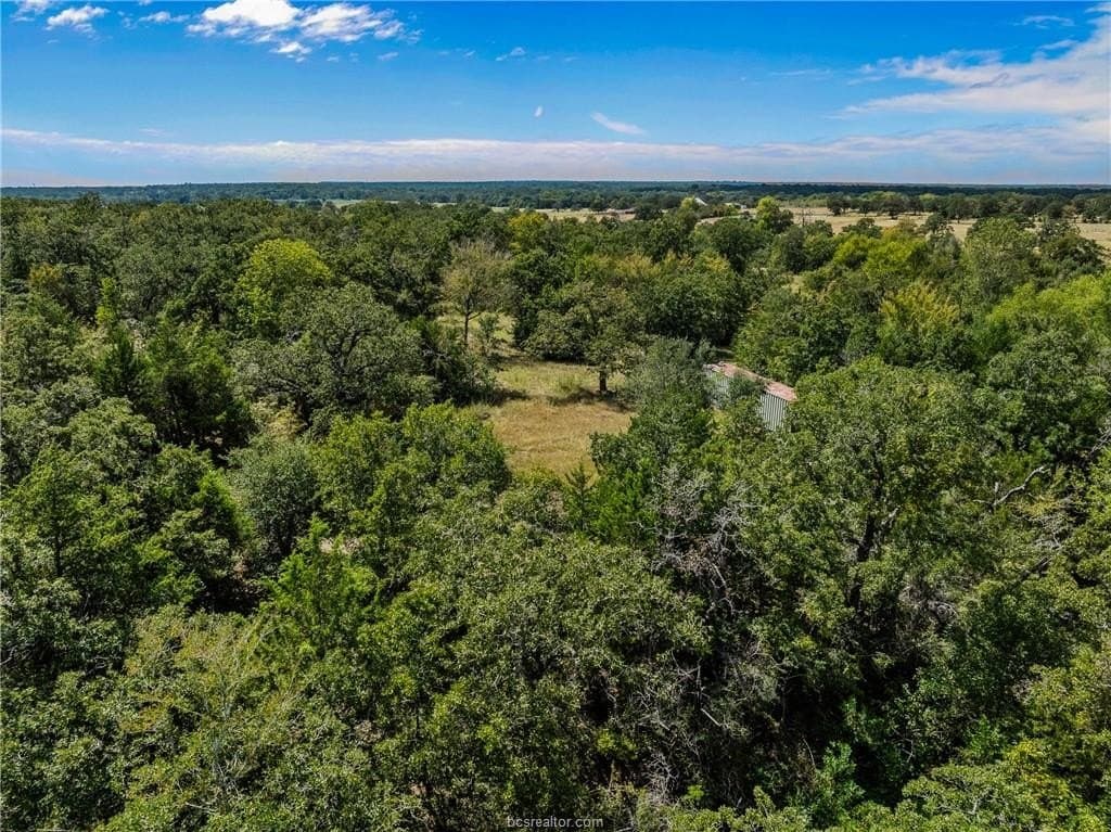 4.89 acres in Burleson County - photo 8