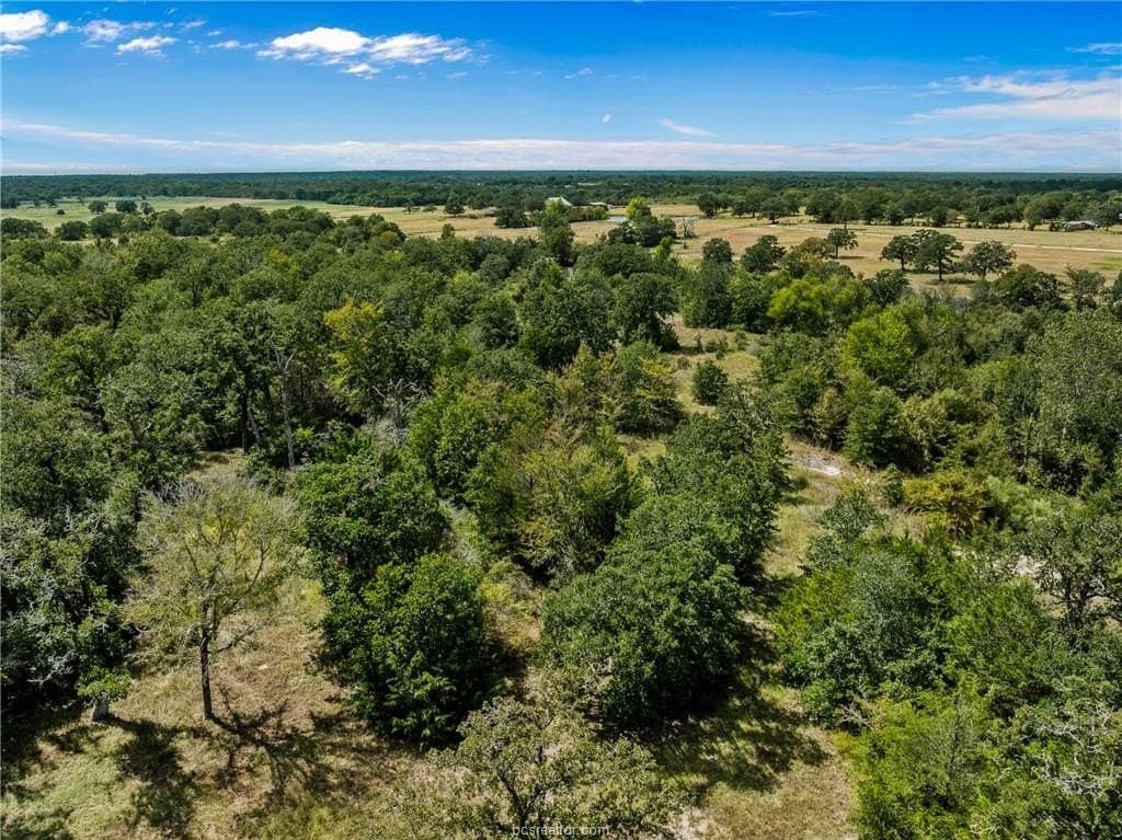 4.89 acres in Burleson County - photo 5