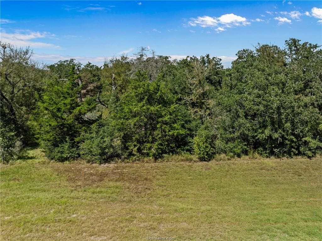 4.89 acres in Burleson County - photo 10