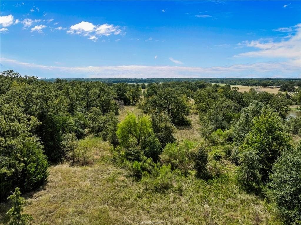 4.89 acres in Burleson County - photo 9