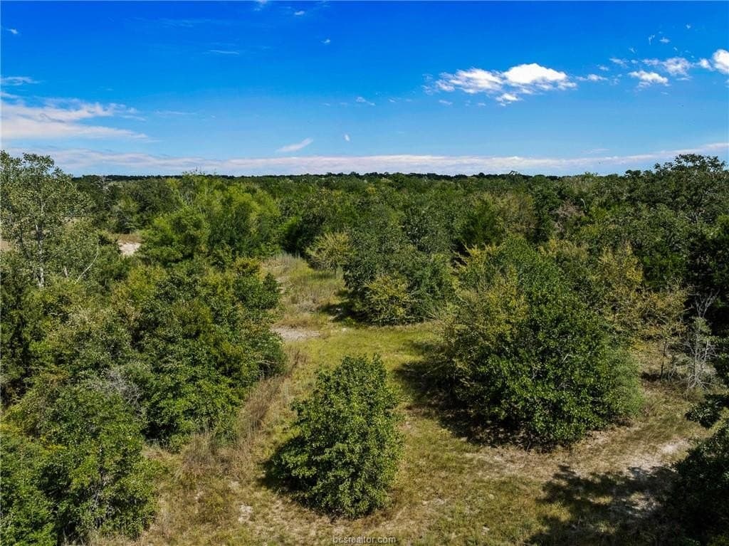 4.89 acres in Burleson County - photo 6