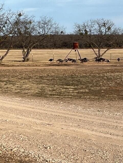 65.34 acres in Runnels County - photo 45