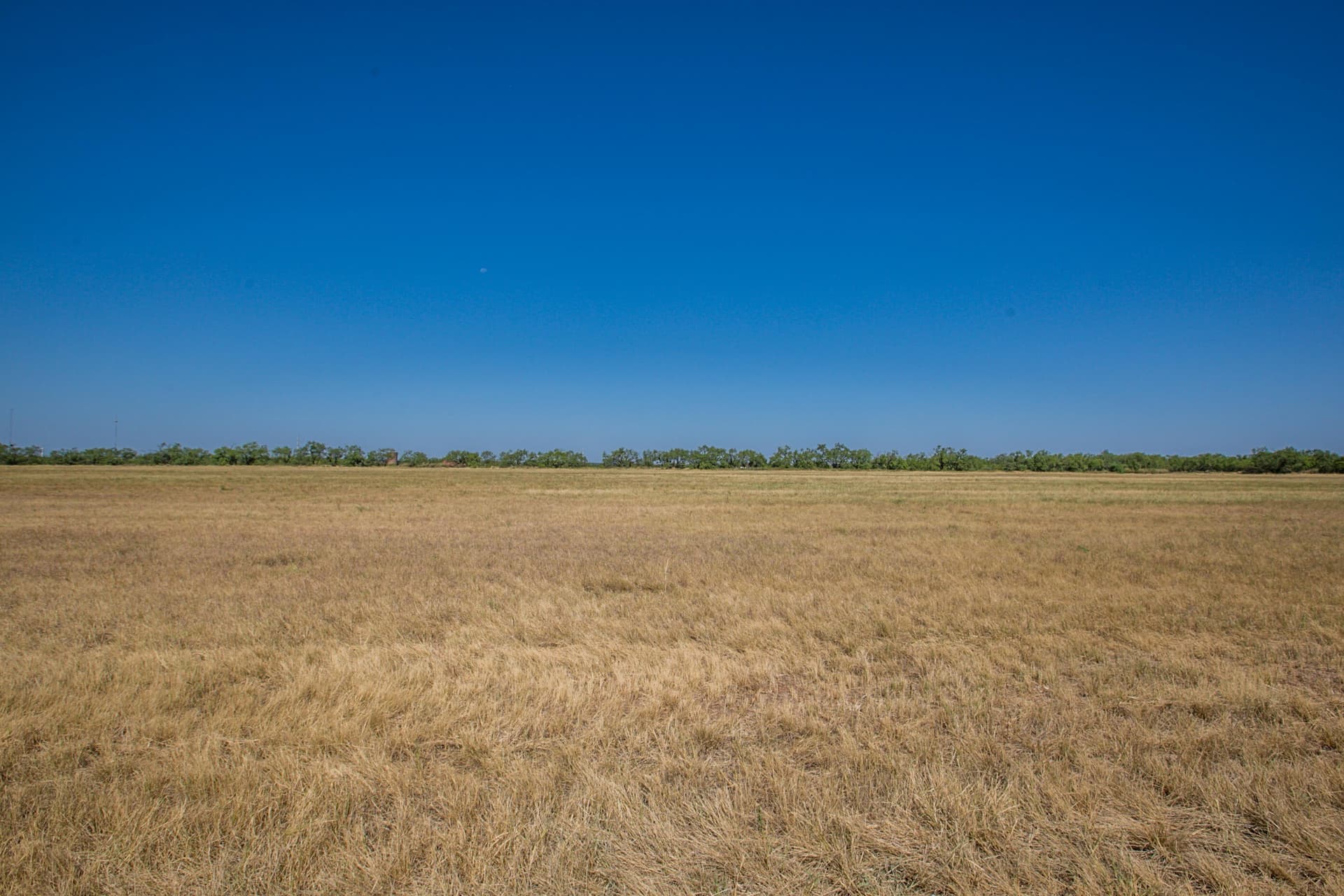 65.34 acres in Runnels County - photo 59
