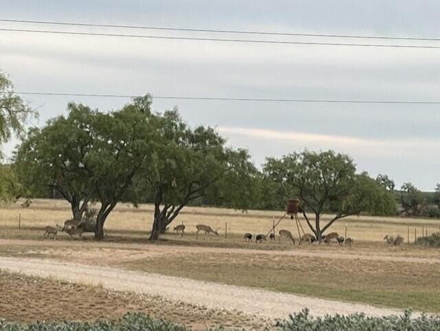 65.34 acres in Runnels County - photo 47