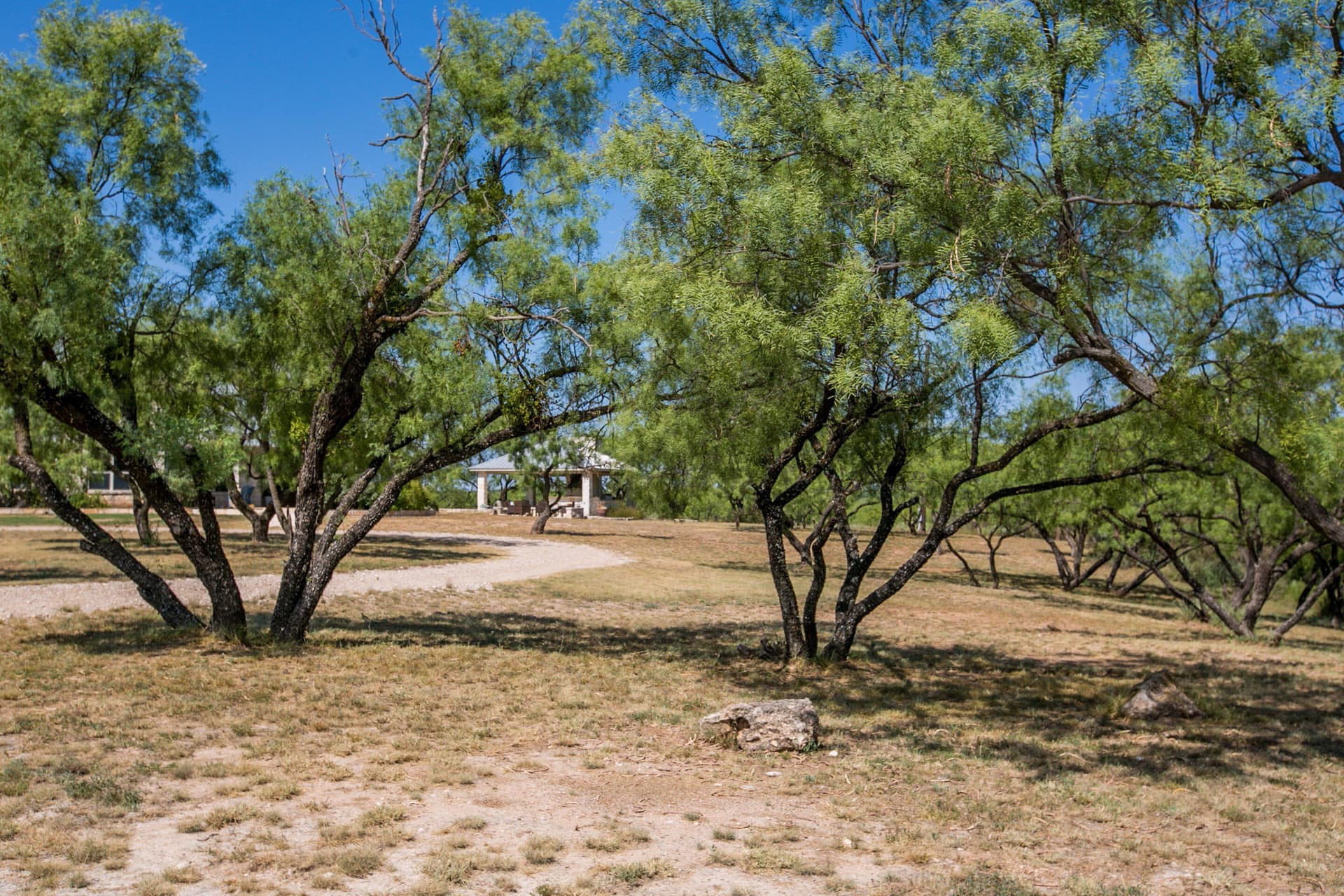 65.34 acres in Runnels County - photo 54