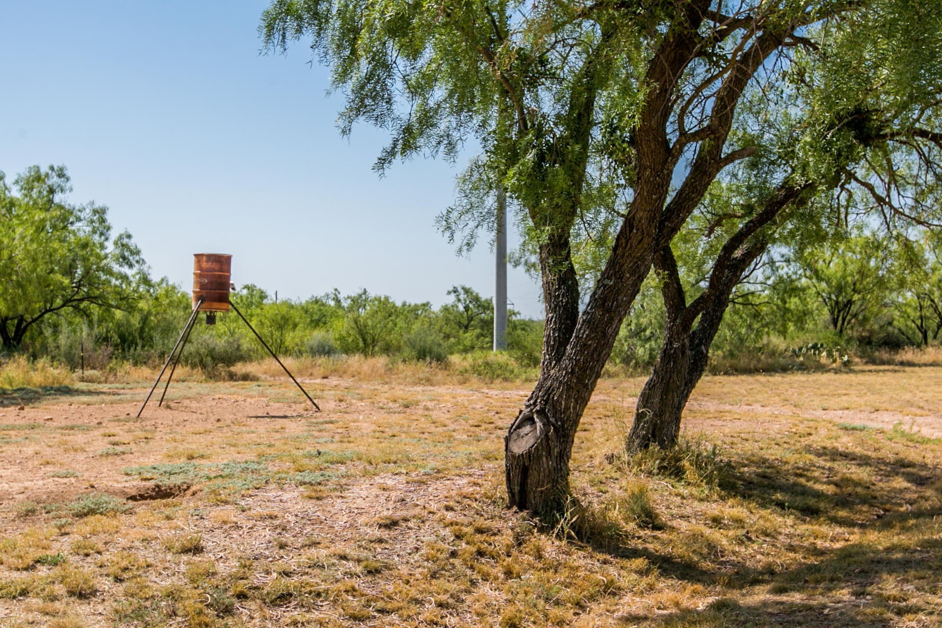 65.34 acres in Runnels County - photo 49