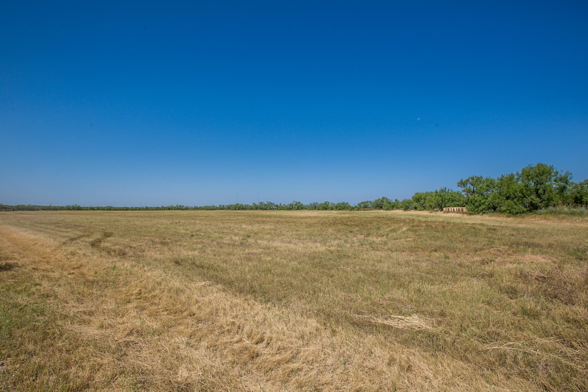 65.34 acres in Runnels County - photo 61