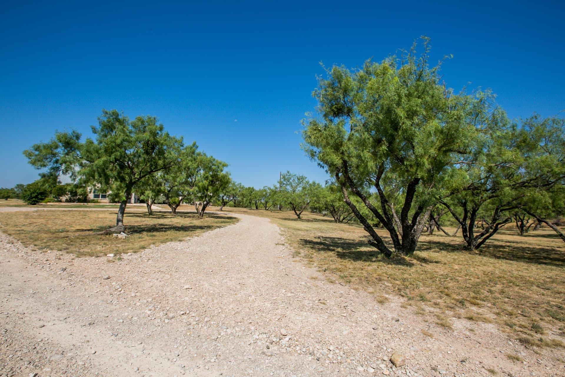 65.34 acres in Runnels County - photo 48