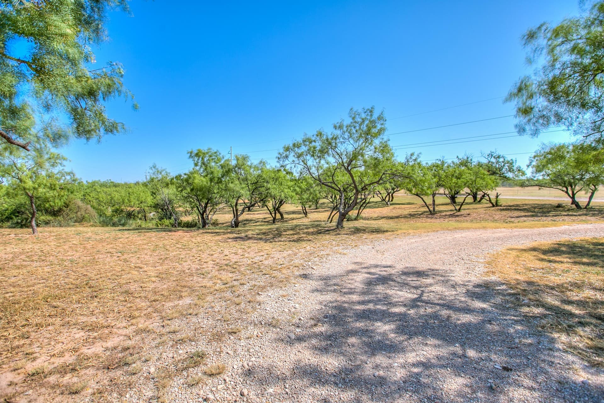 65.34 acres in Runnels County - photo 5