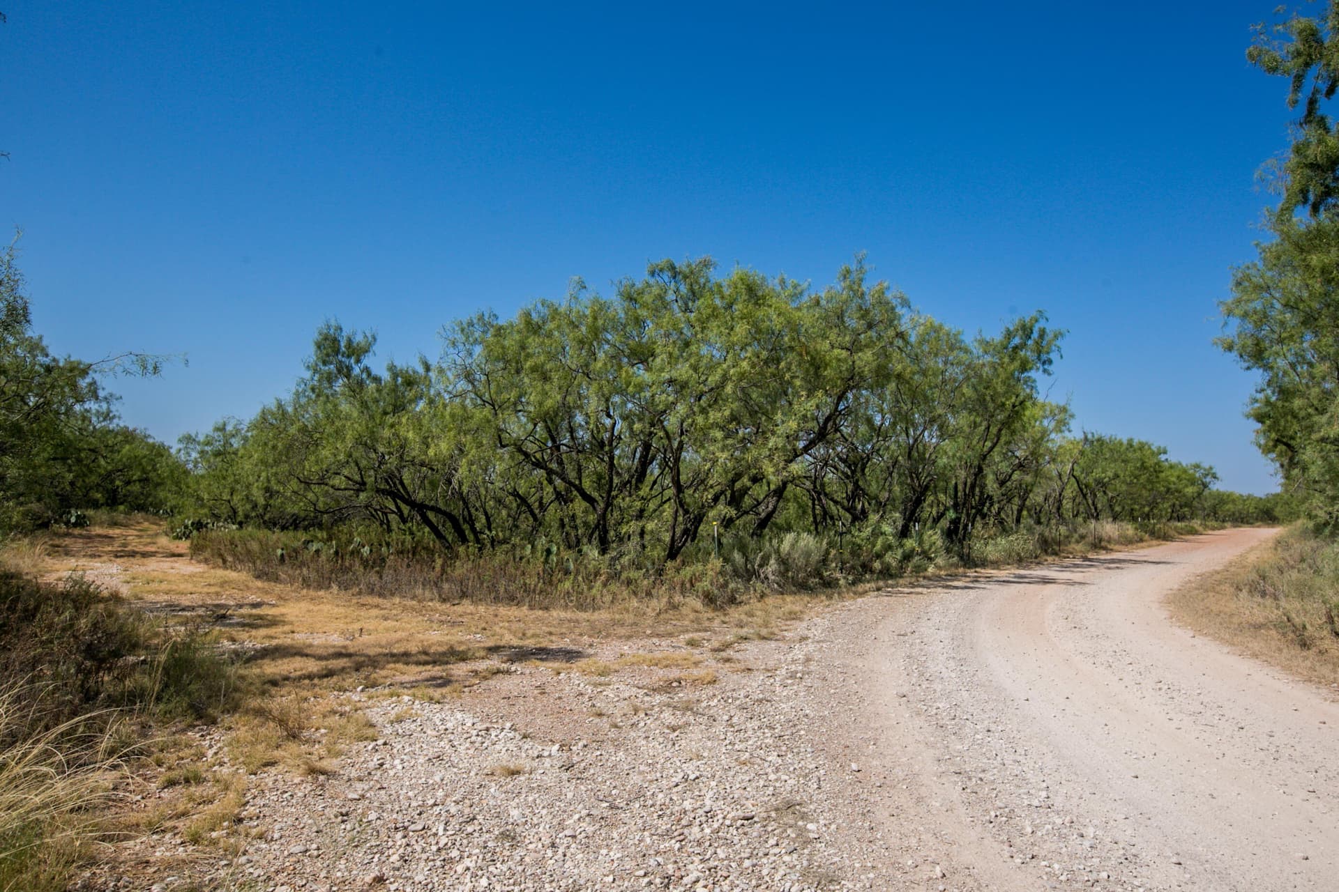 65.34 acres in Runnels County - photo 58