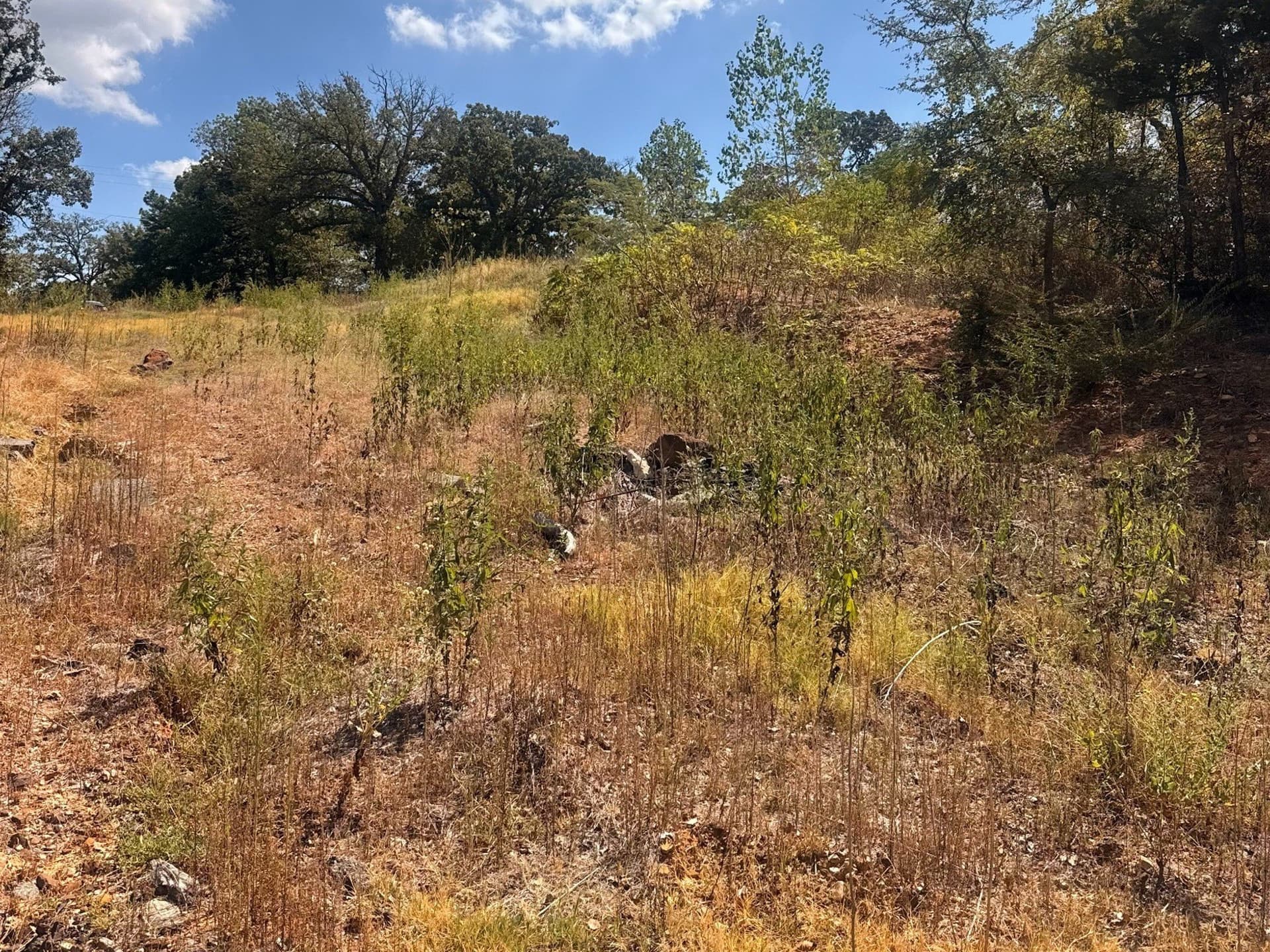 0.17 acres in Grayson County - photo 6