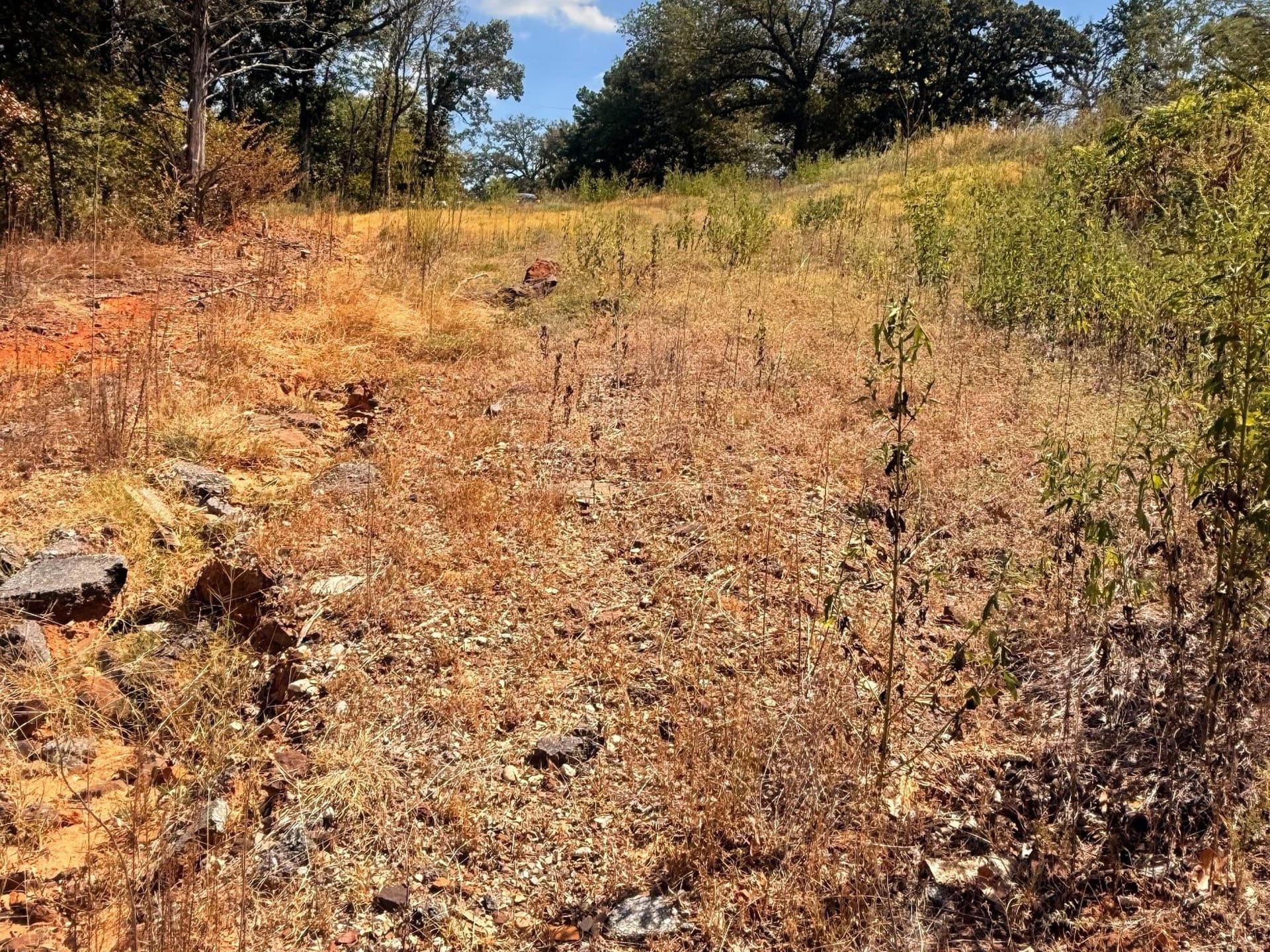 0.17 acres in Grayson County - photo 5