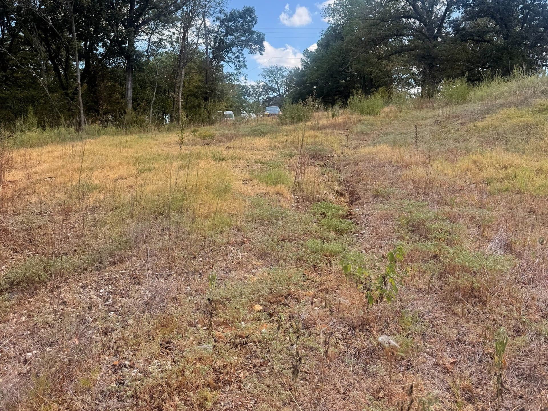 0.17 acres in Grayson County - photo 3