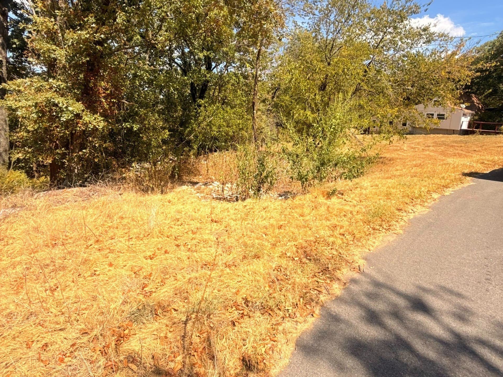 0.17 acres in Grayson County - photo 9