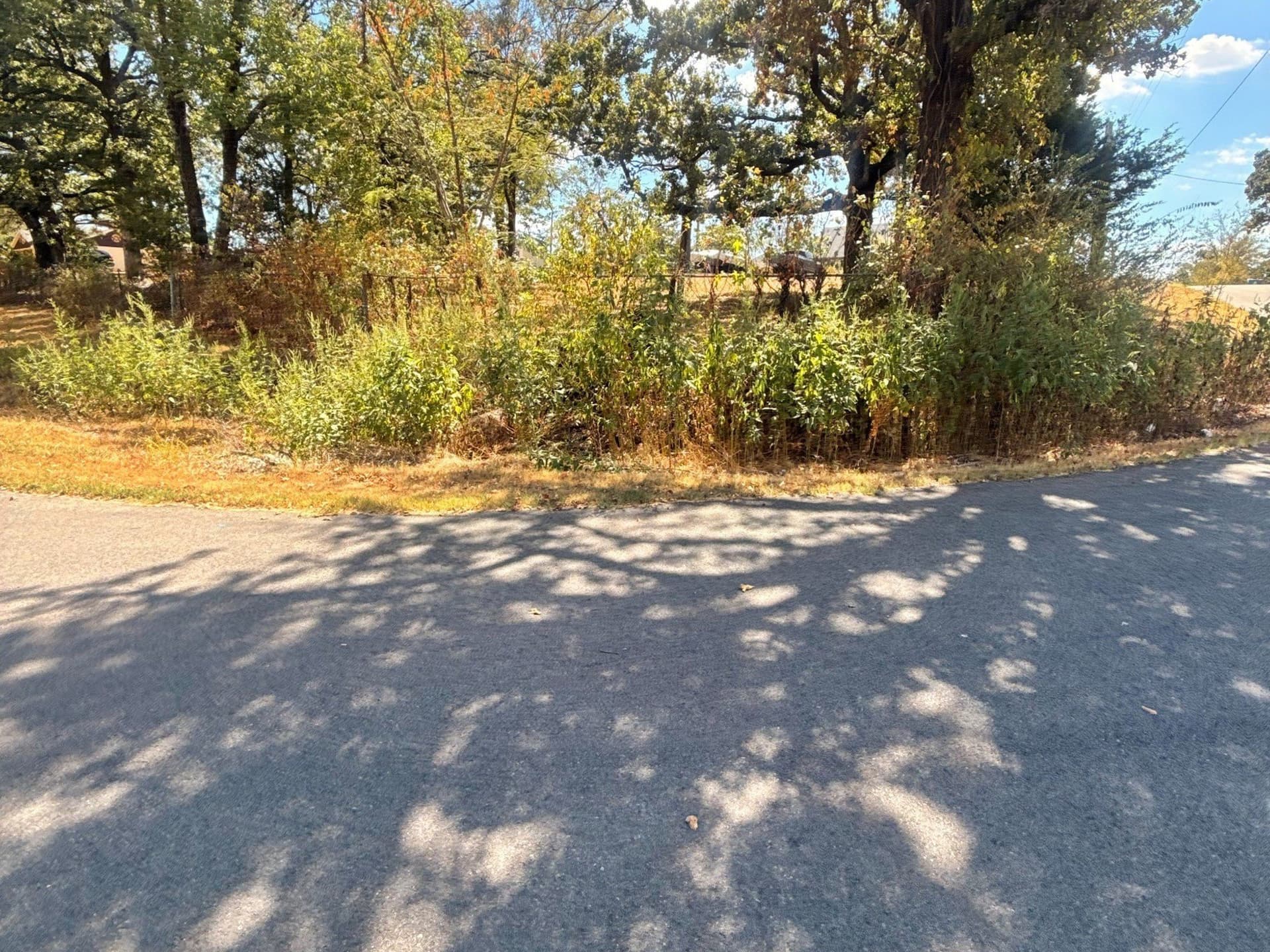 0.17 acres in Grayson County - photo 8