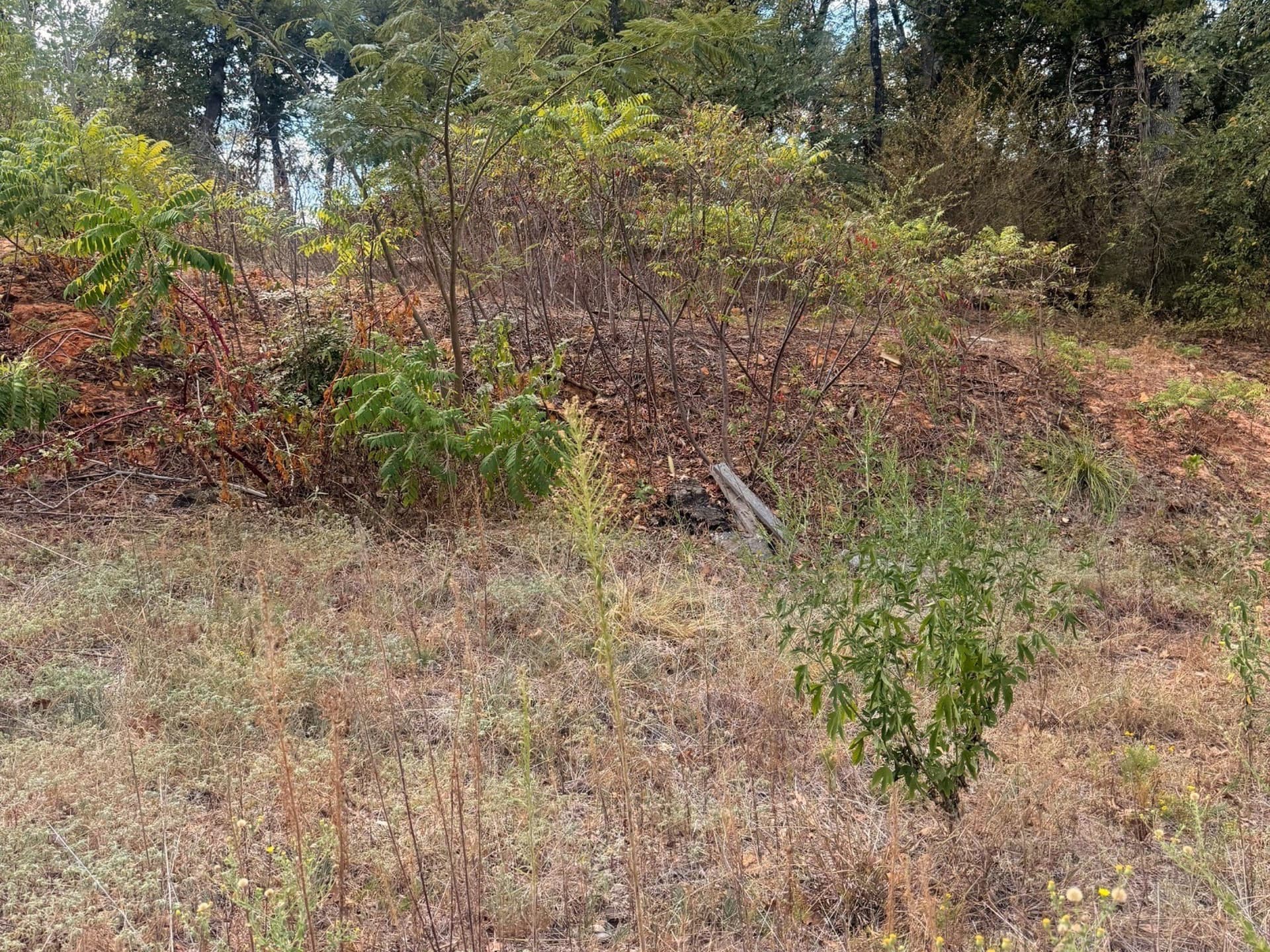 0.17 acres in Grayson County - photo 4