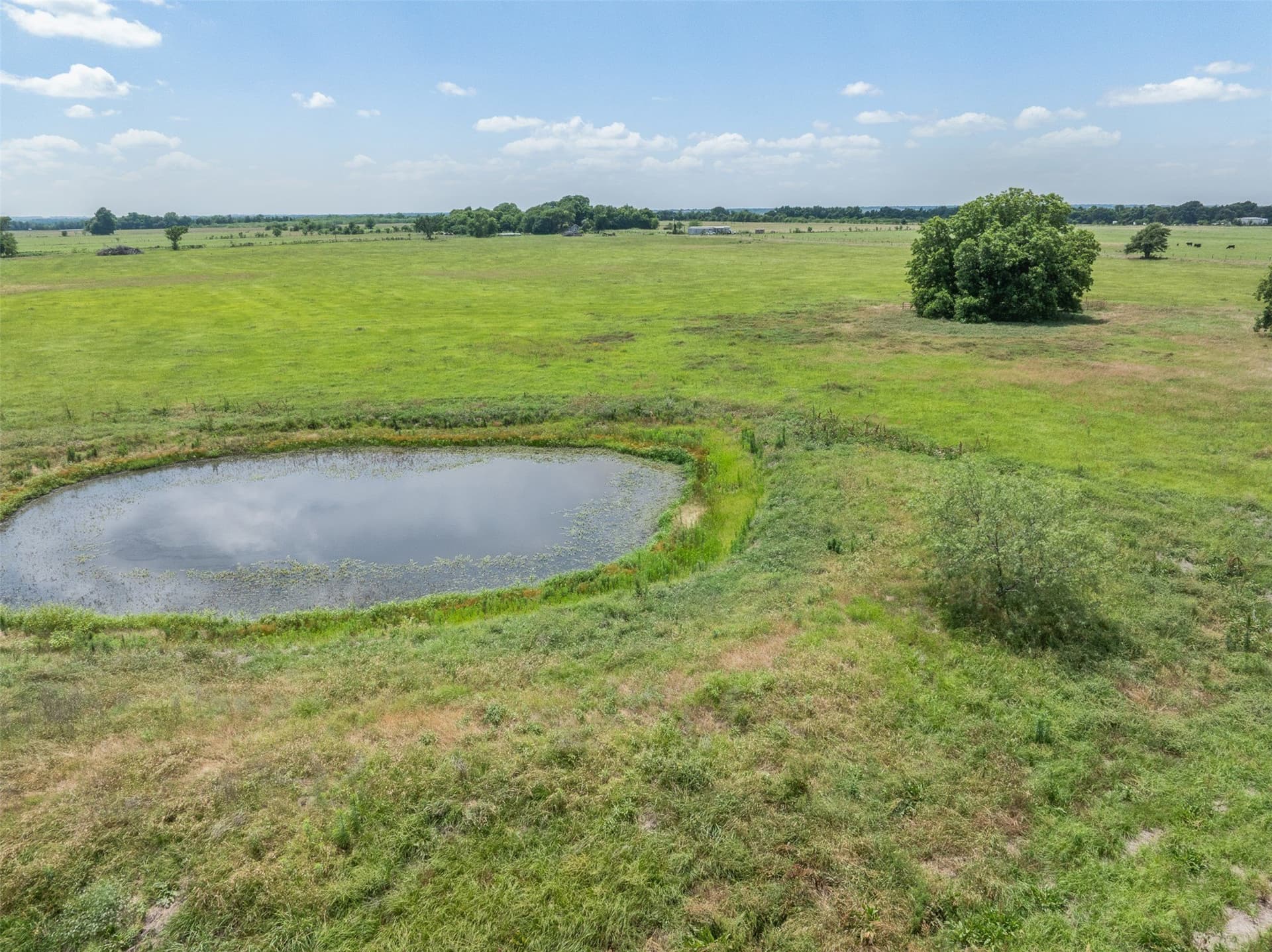 31.5 acres in Limestone County - photo 20
