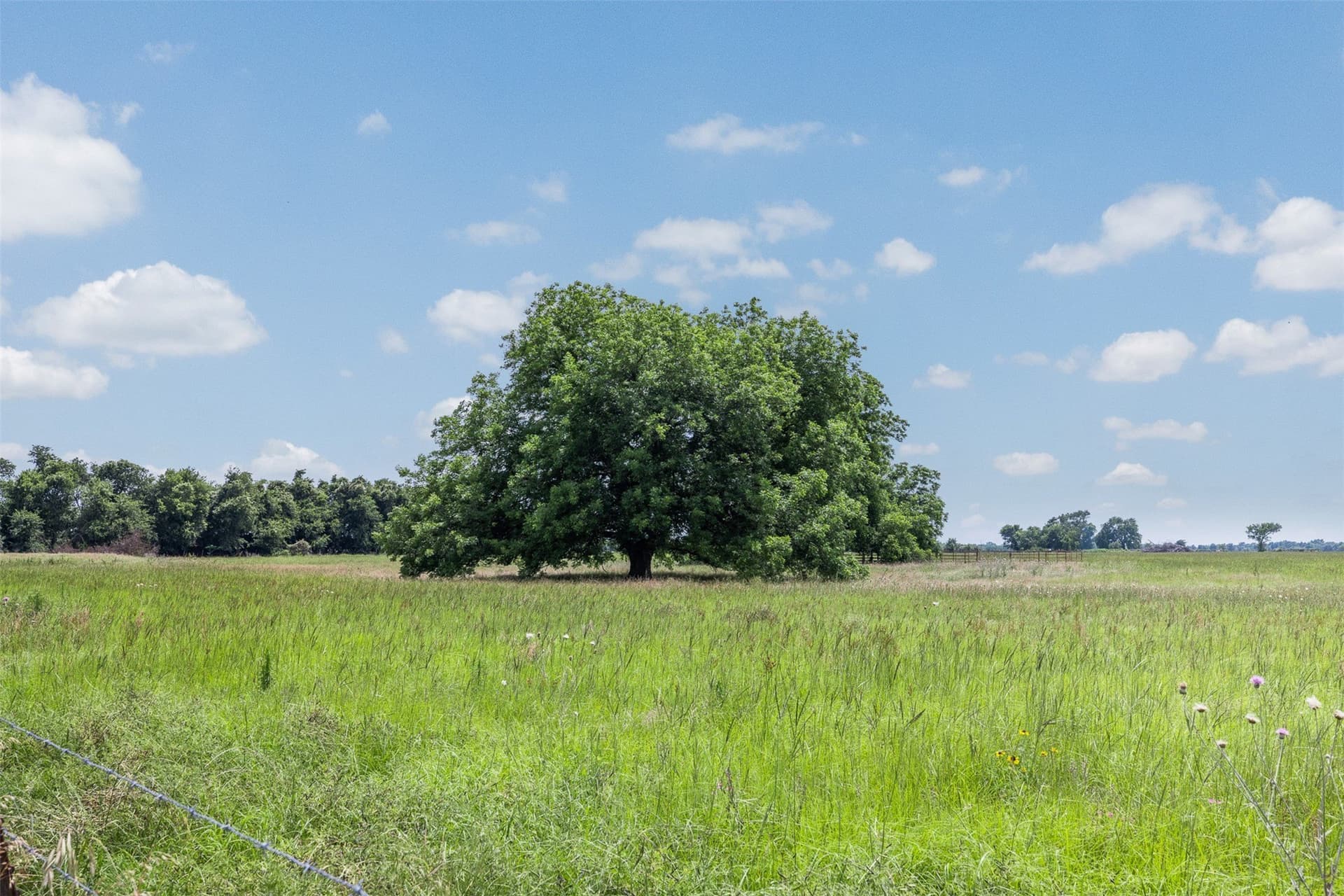 31.5 acres in Limestone County - photo 19