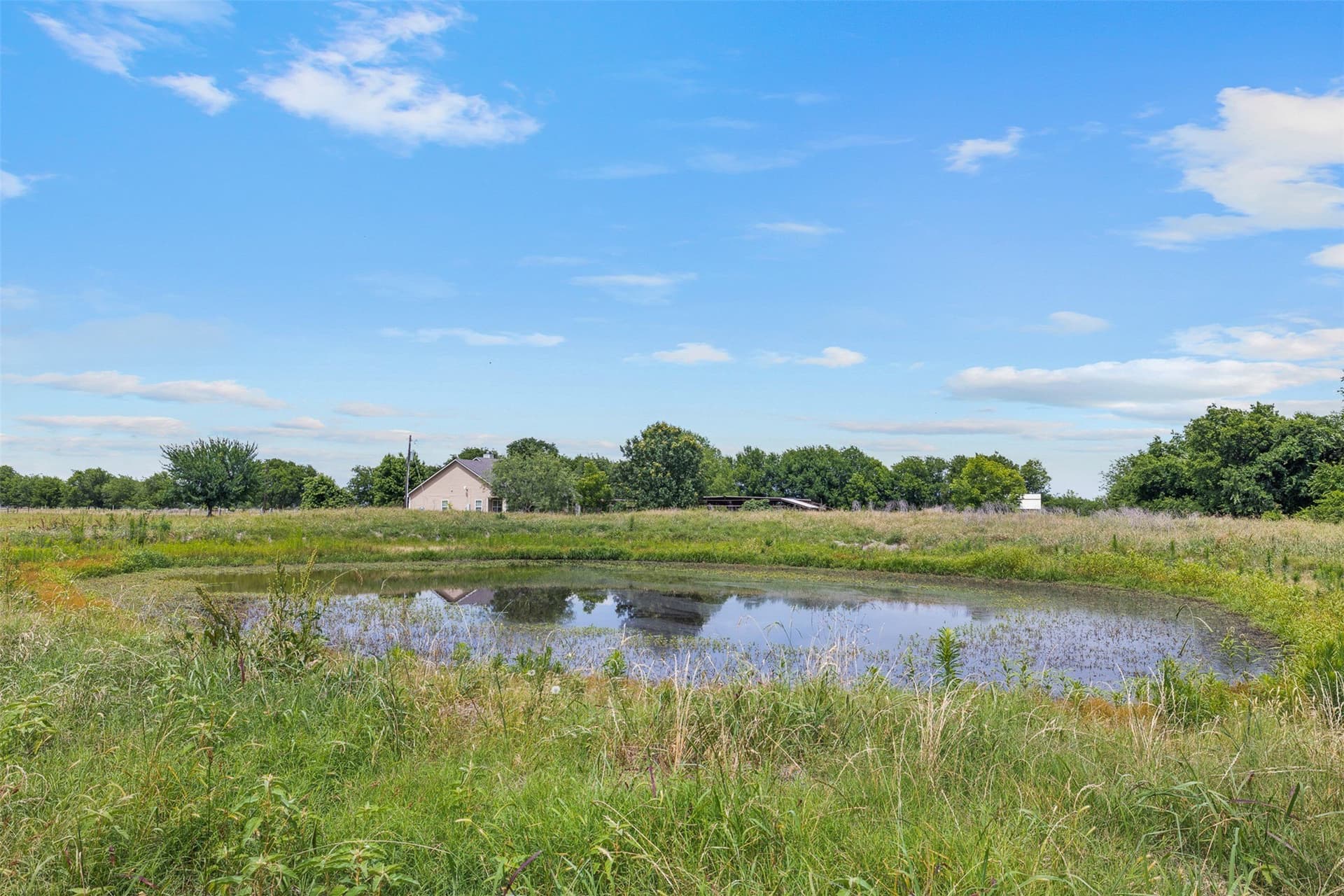 31.5 acres in Limestone County - photo 21